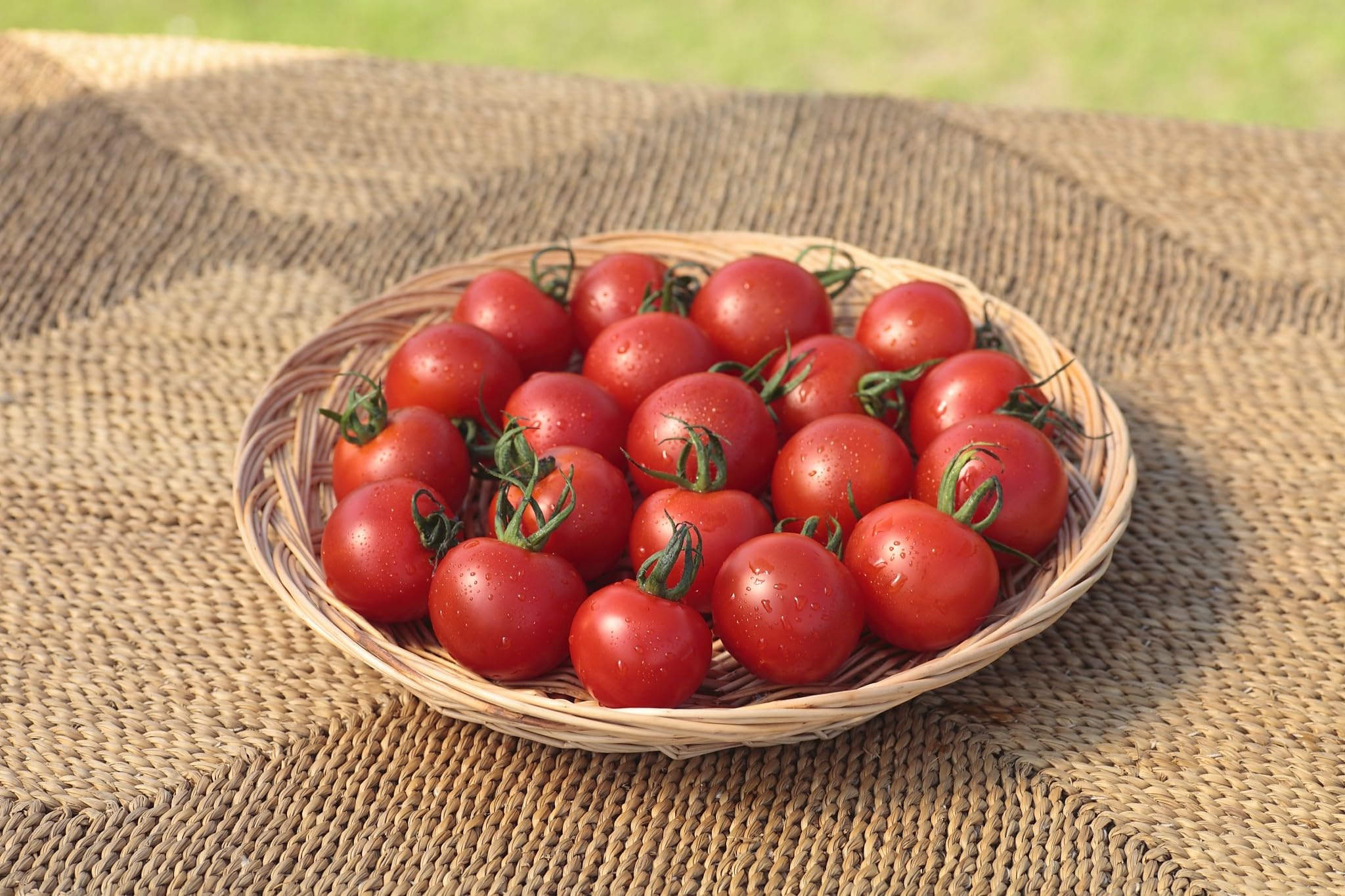 タマトア 4枚 Amazon.co.jp: サカタのタネ 実咲野菜0010 あまうま中玉トマト(赤
