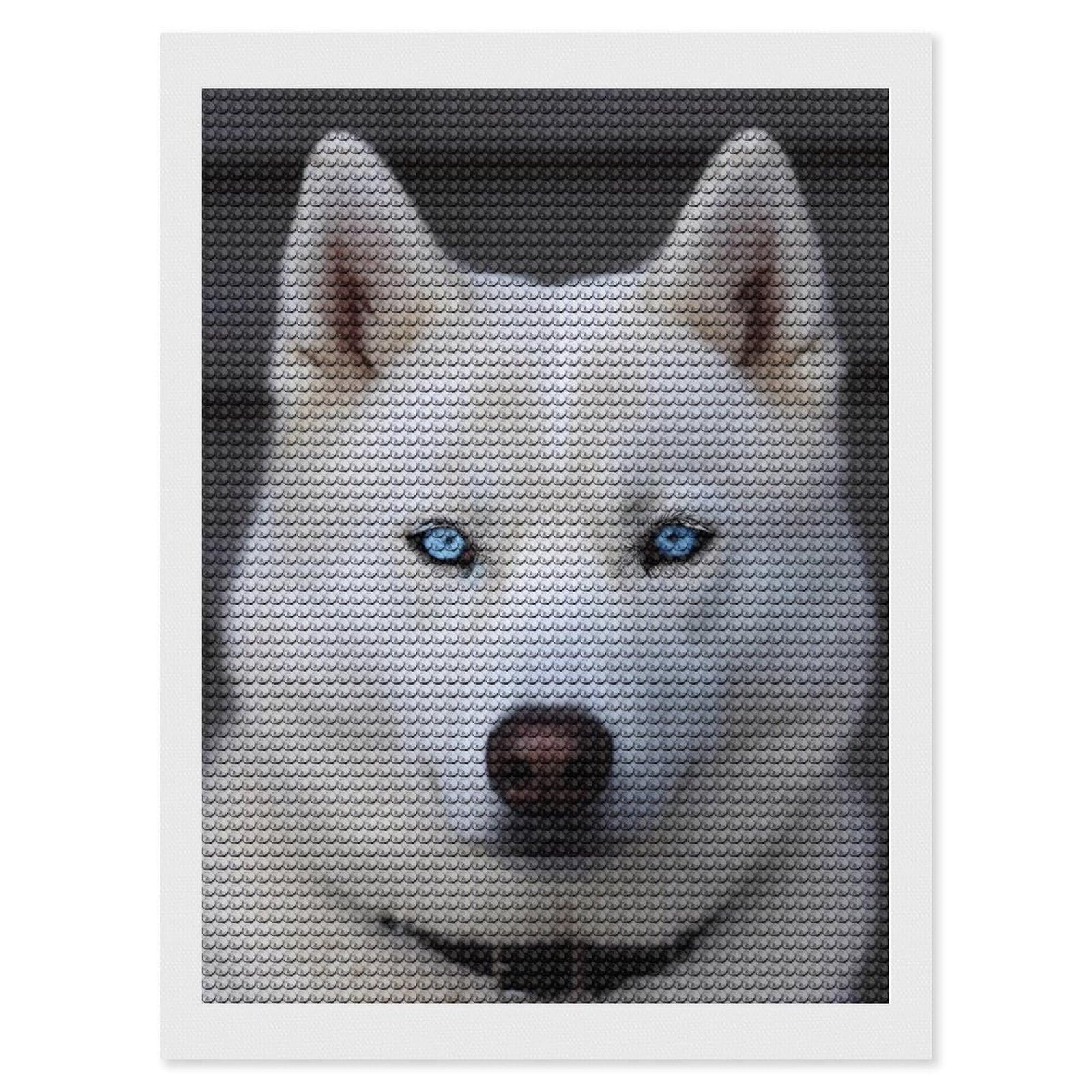 FodPand Diamond Art Kits for Adults, 5D Aurora Diamond Painting Kits for Beginners, Blue Eyed White Husky DIY Full Drill Dots Gem Art Paint Crafts for Home Wall Decor 12"x16"