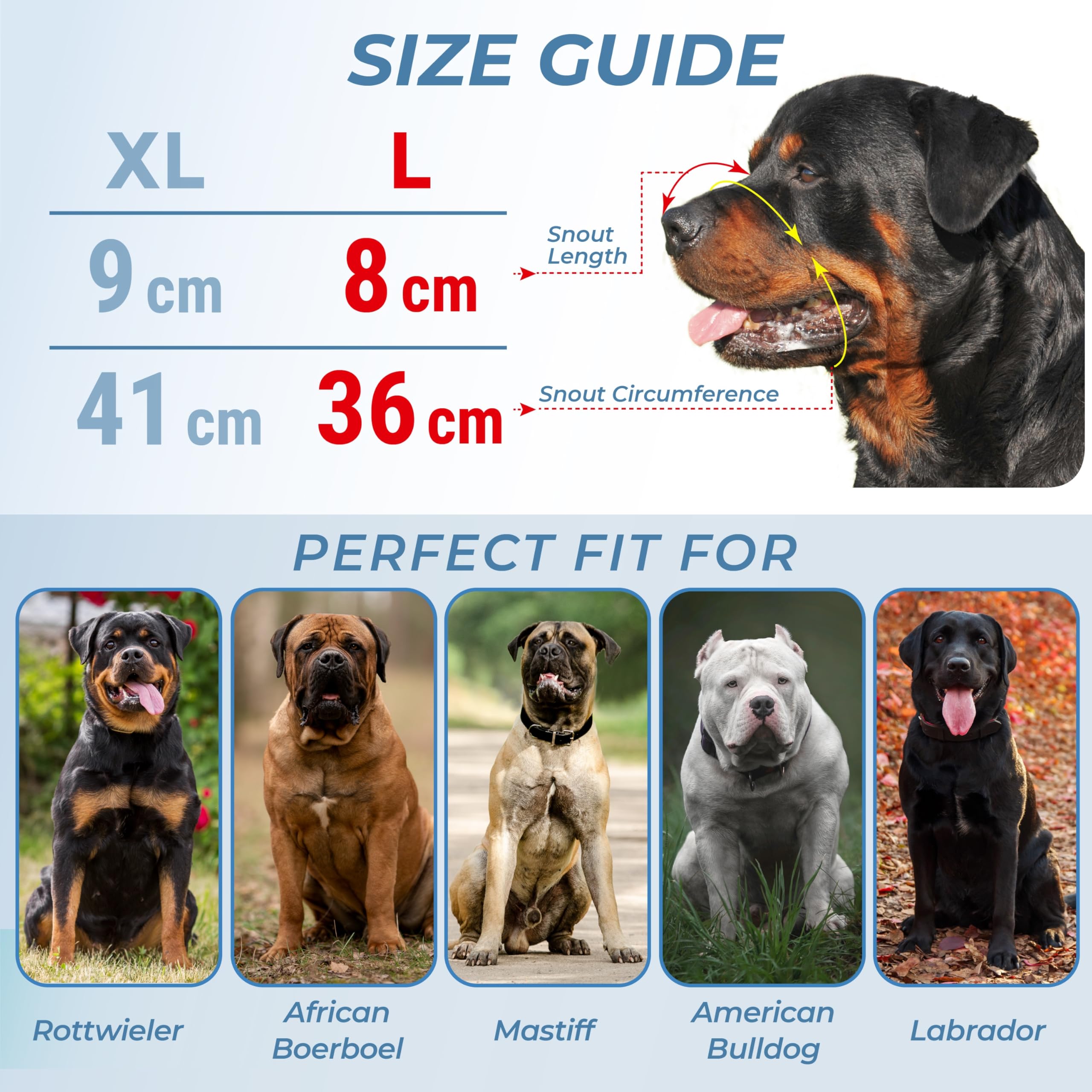 Muselière robuste en métal pour chiens de grande taille – Muselière Corso, Mastiff, Labrador, Bulldog, Alabai – Panier anti-aboiements et morsures