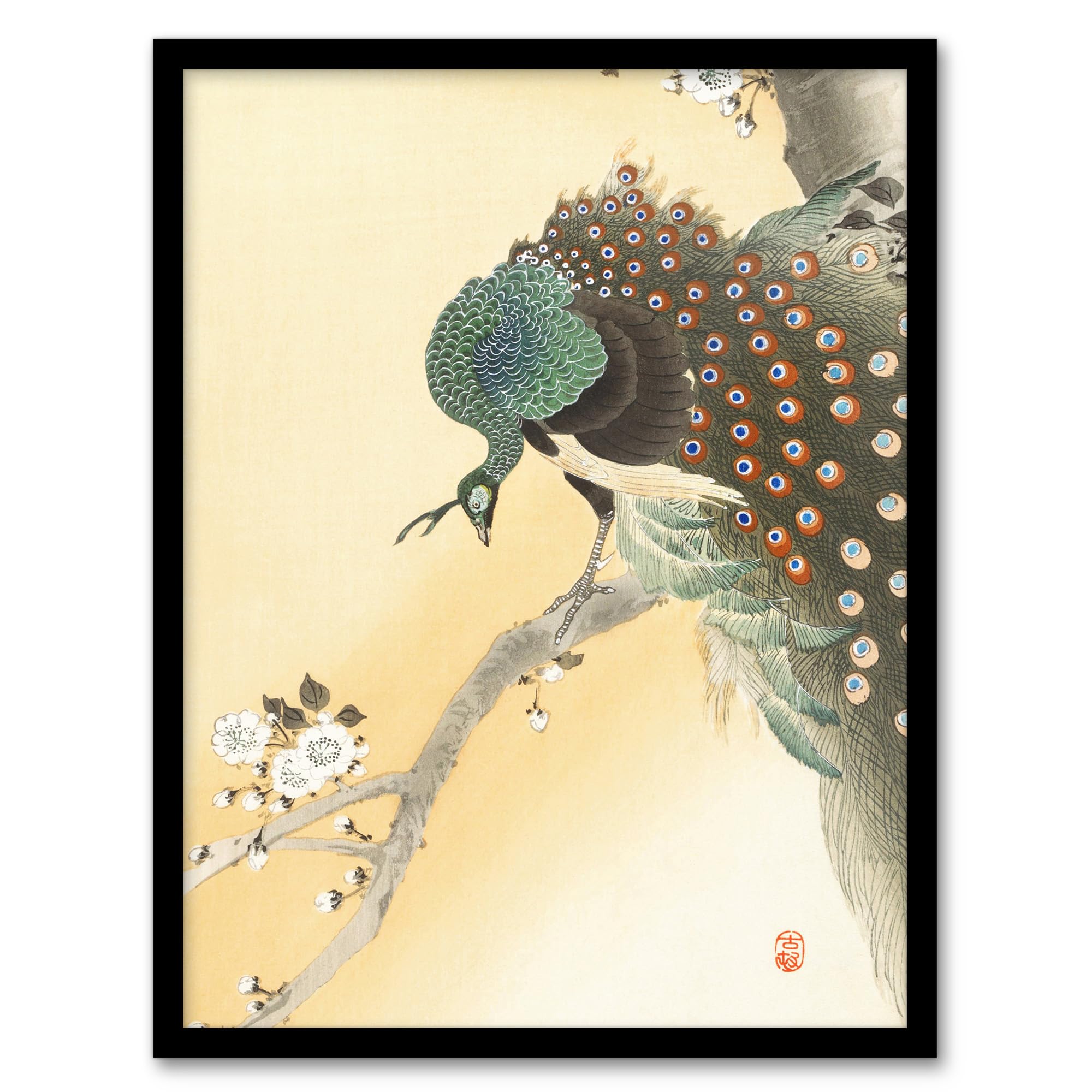 Artery8 Ohara Koson Peacock On A Cherry Blossom Tree Framed Wall Art Print Home Décor A3