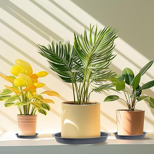 Miniatura 6 de 12 bandejas para plantas para macetas, 6, 8, 10 pulgadas, bandeja redonda de plástico para plantas de jardín de interiores y exteriores