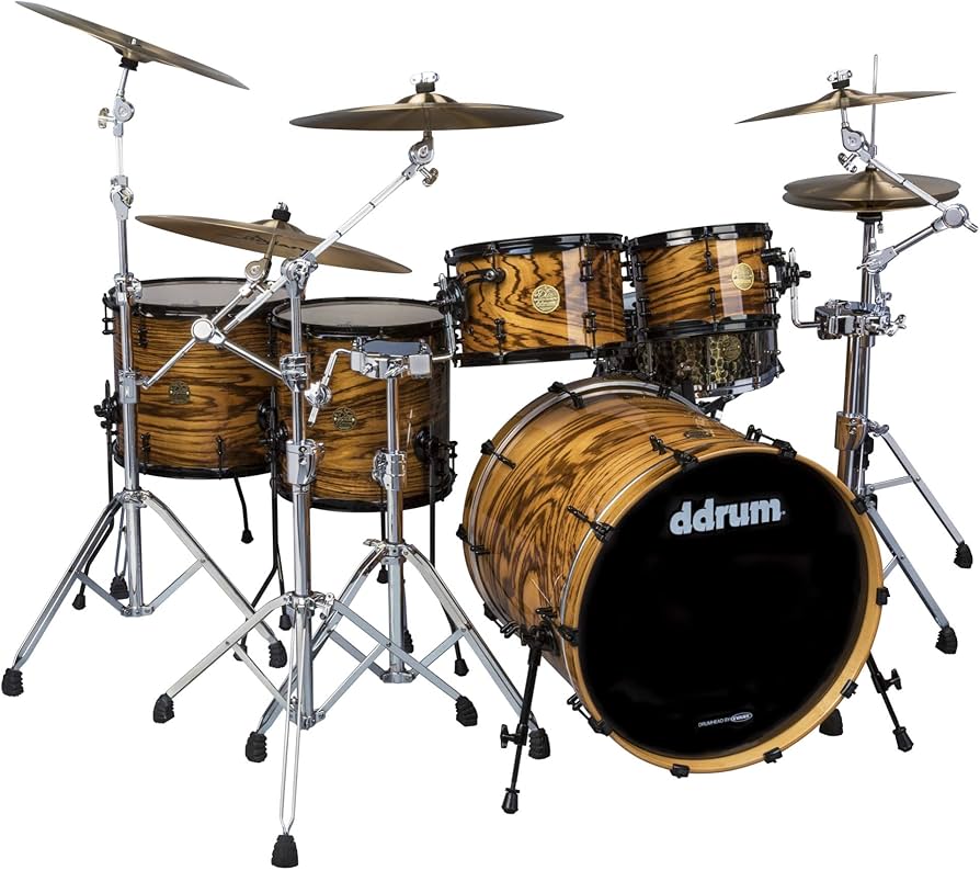 Amazon.com: ddrum Dios Exotic Zebra Wood- Natural 5-Piece Shell