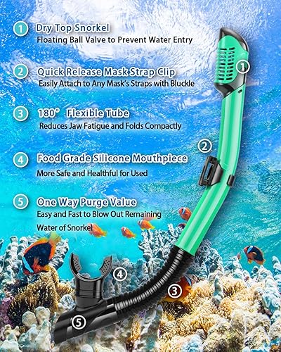 Miniatura 4 de PIYAZI Snorkeling Gear for Adults Kids, Dry Snorkeling Set, Panoramic Anti-Leak and Anti-Fog Tempered Glass Lens, Adjustable Strap Snorkel Set with