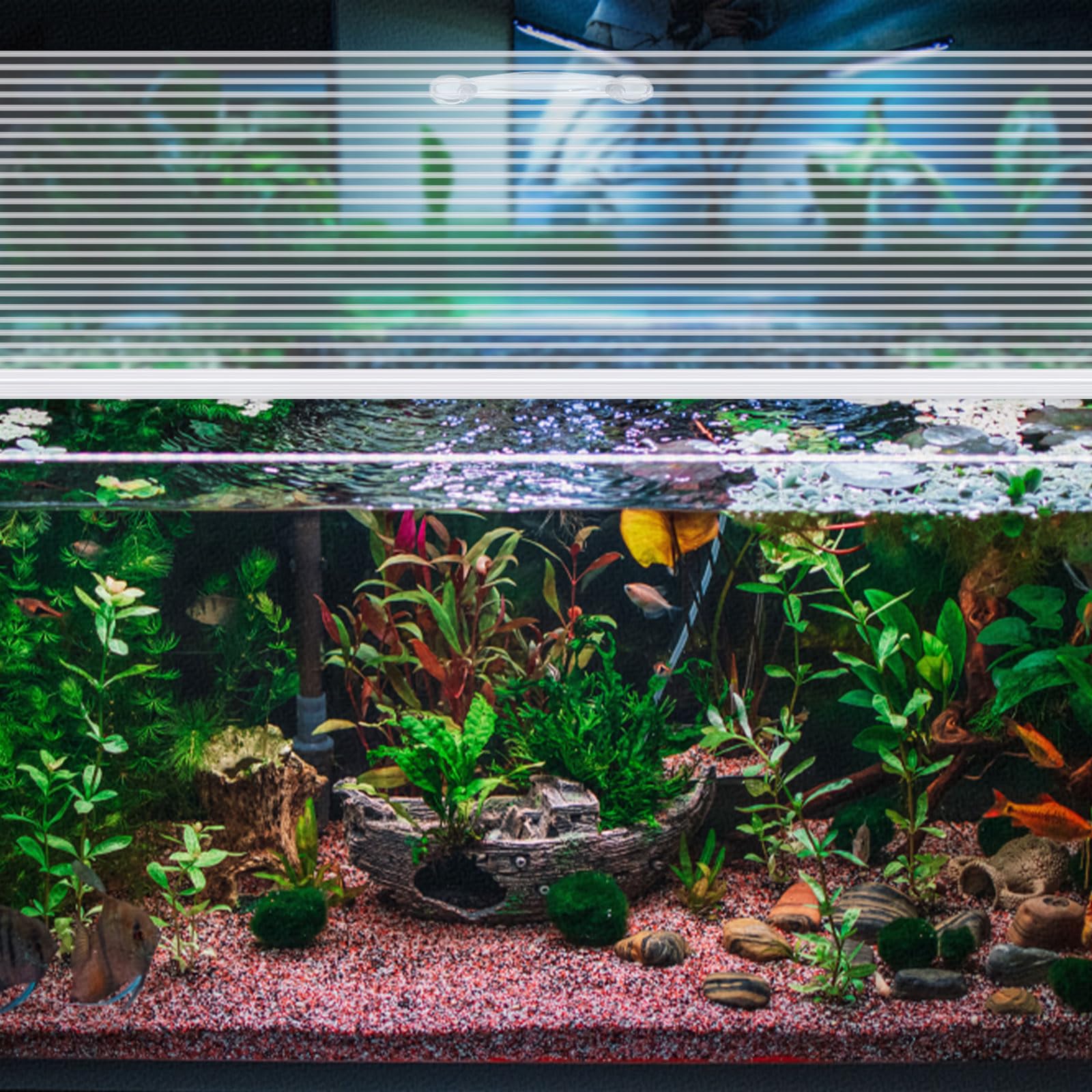Sieral Auvent d'aquarium en polycarbonate, 91,4 x 45,7 cm, transparent, 1 pièce