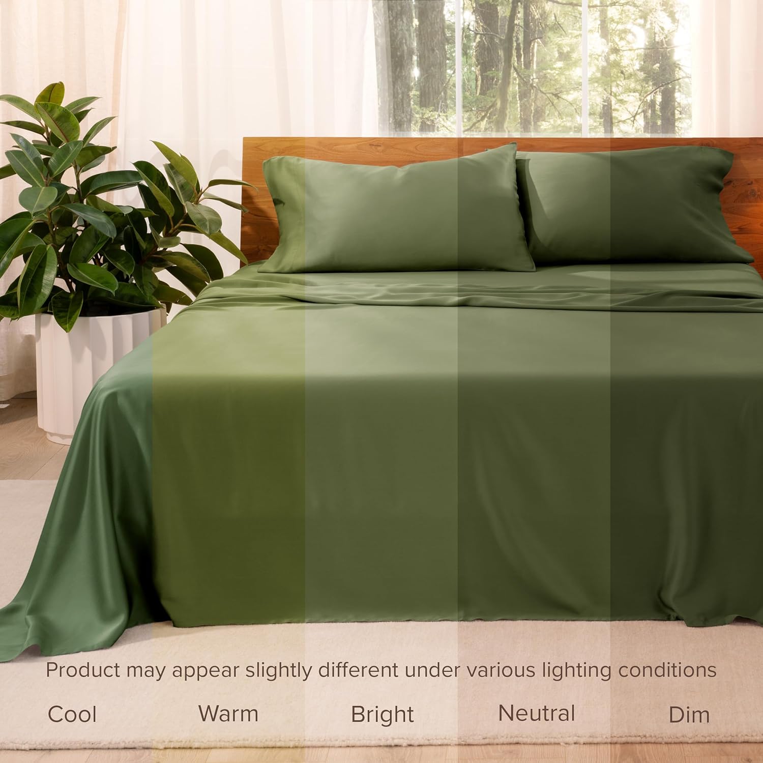 Bare Home Lyocell Tencel Sheet Set - Queen Size - 4 Piece Set - Derived from Eucalyptus - All-Season - Ultra Soft - Deep Pocket (Queen, Cypress)