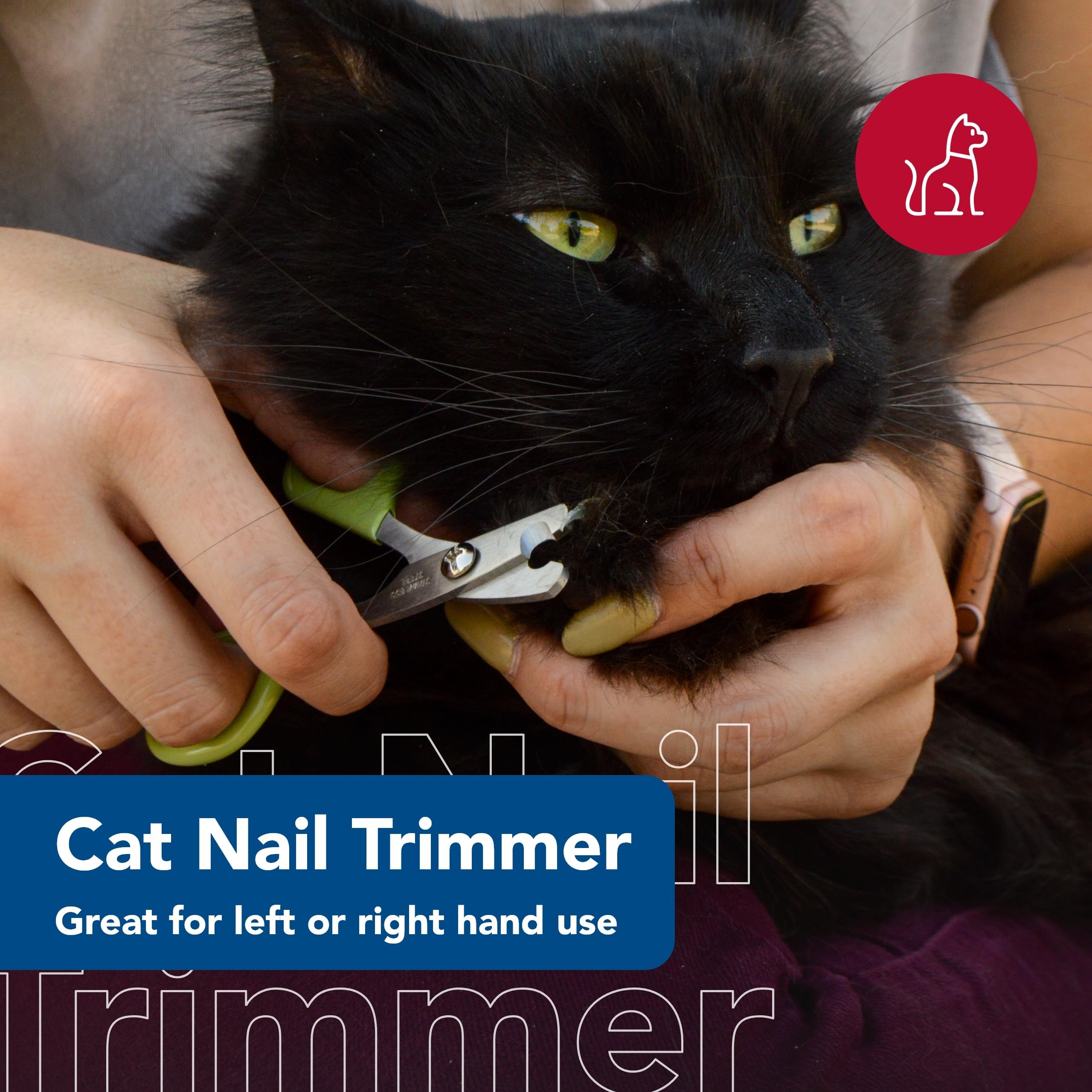Amazon.com : Coastal Pet Safari Cat Nail Trimmer - Double Guillotine,  Single-Snip Kitten, Cat, Bunny & Pet Nail Clippers - Left- or Right-Handed  Scissors - One Size : Pet Nail Clippers : Pet Supplies