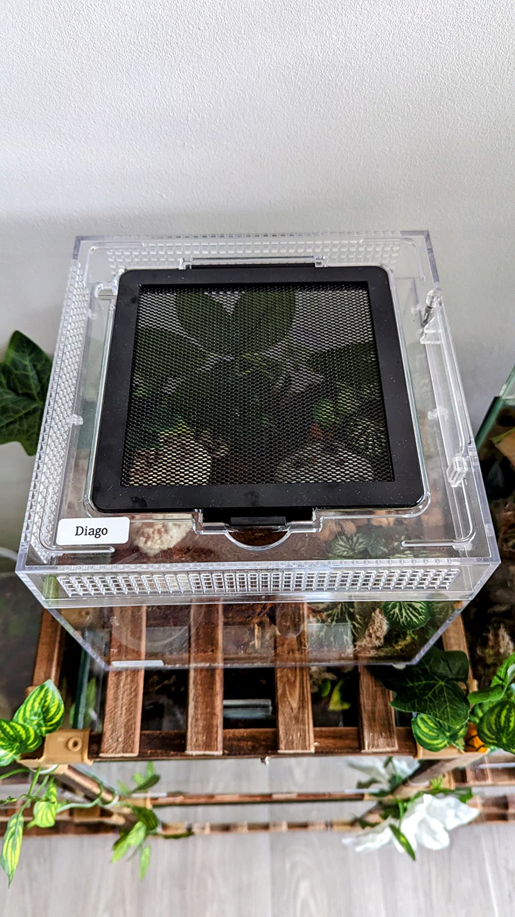 Customer photo