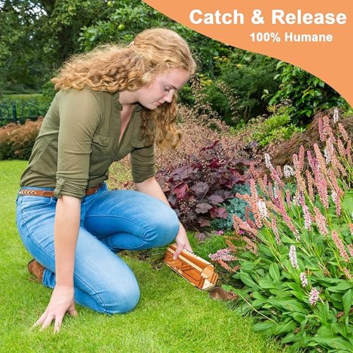 Miniatura 4 de Paquete de 6 trampas para ratones vivas sin muerte, trampas humanitarias para ratones de interior para el hogar, atrapador de ratones reutilizable