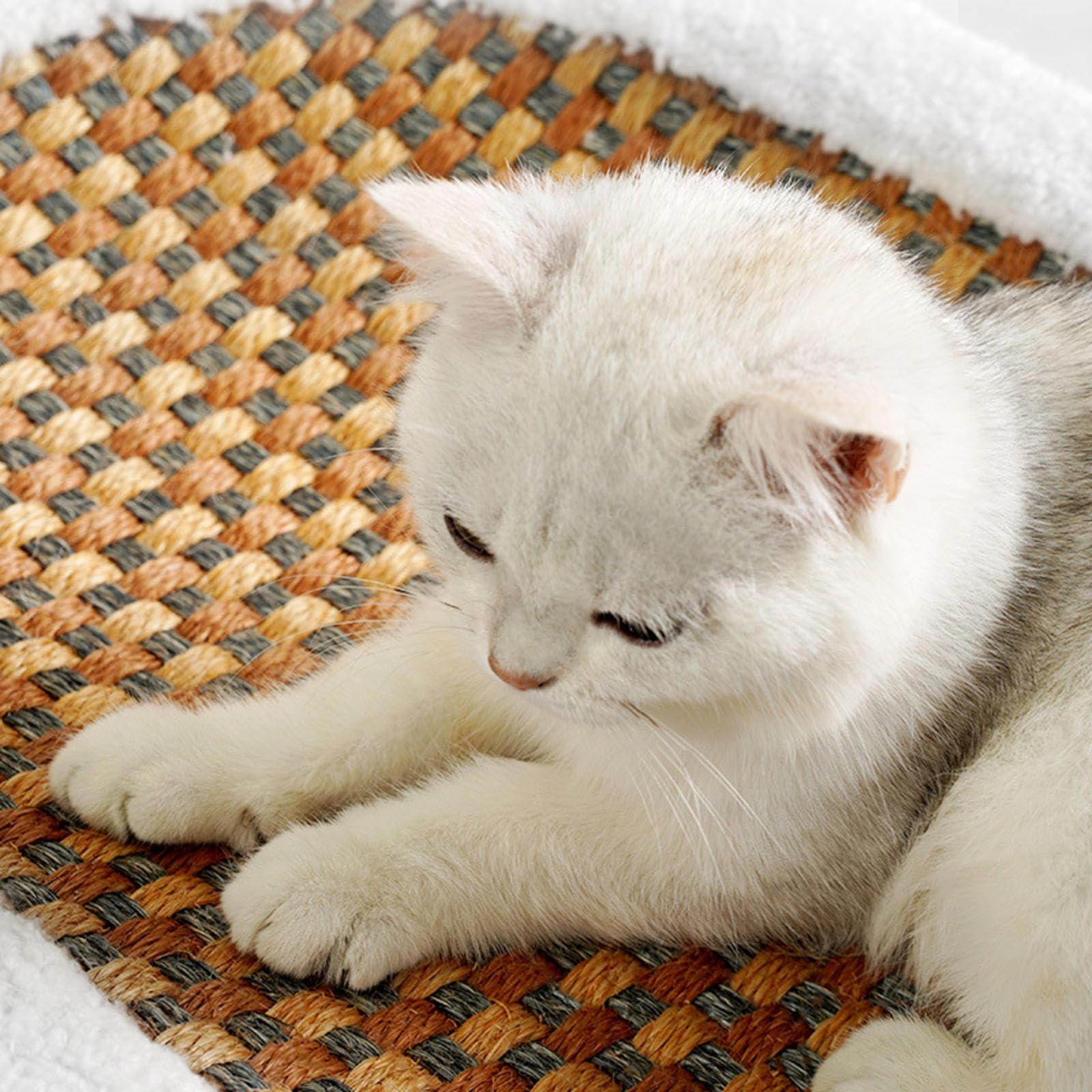 Rascador para Gatos De Sisal Natural, Almohadilla para Rascar Gatos De Interior, Adultos O Gatitos