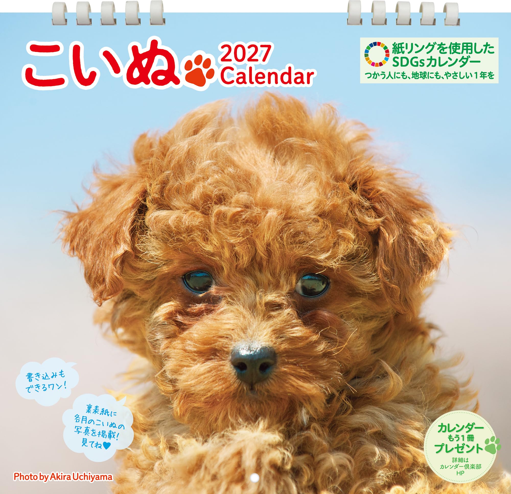 ②『犬』壁掛けチャリティーカレンダー5枚セット こいぬカレンダー 2026 壁掛け（B4変型／月めくり）｜かわいい子犬写真