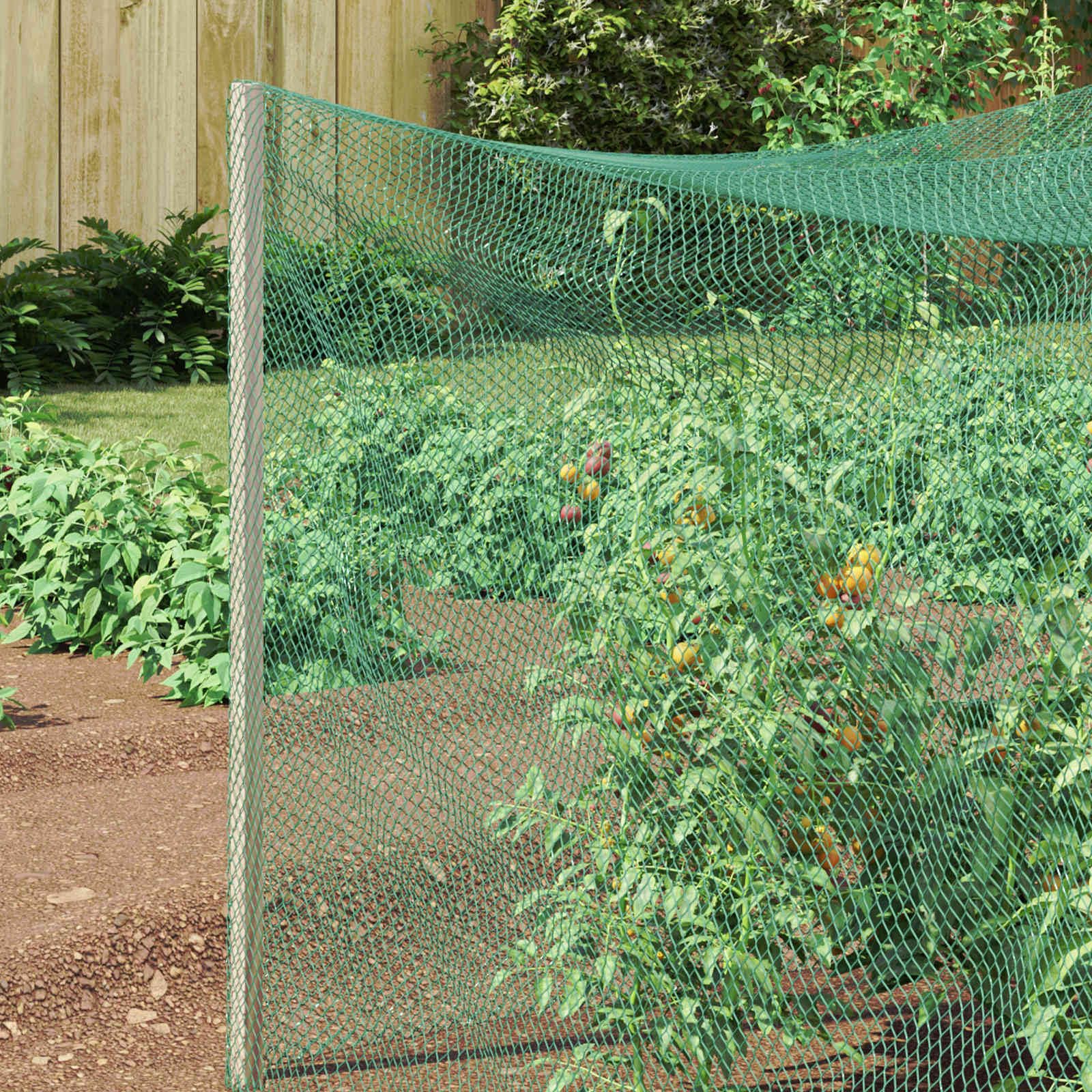 Vogelschutznetz Grün Polyethylen, 2 x 10 m, vielseitiges Gartennetz für Pflanzenschutz, Wetterbeständig, Innen- und Außenbereich, beeinfusst Schutz und Dekoration im Beet