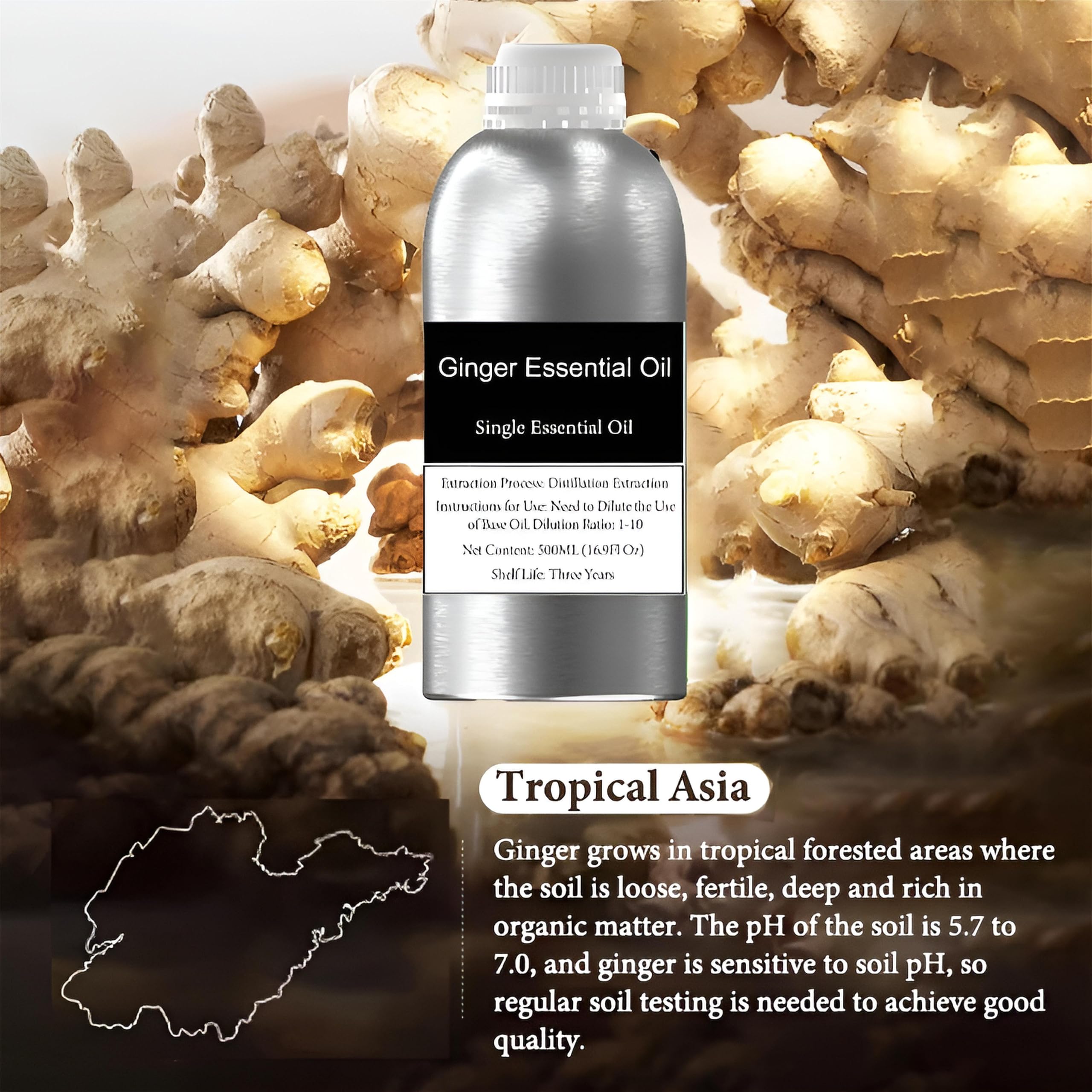 Aceite esencial de jengibre 100 % puro para aromaterapia, difusor, cuidado de la piel y el cabello, masajes, fabricación de velas y jabón, aceite de jengibre orgánico para aliviar el dolor(500ml)