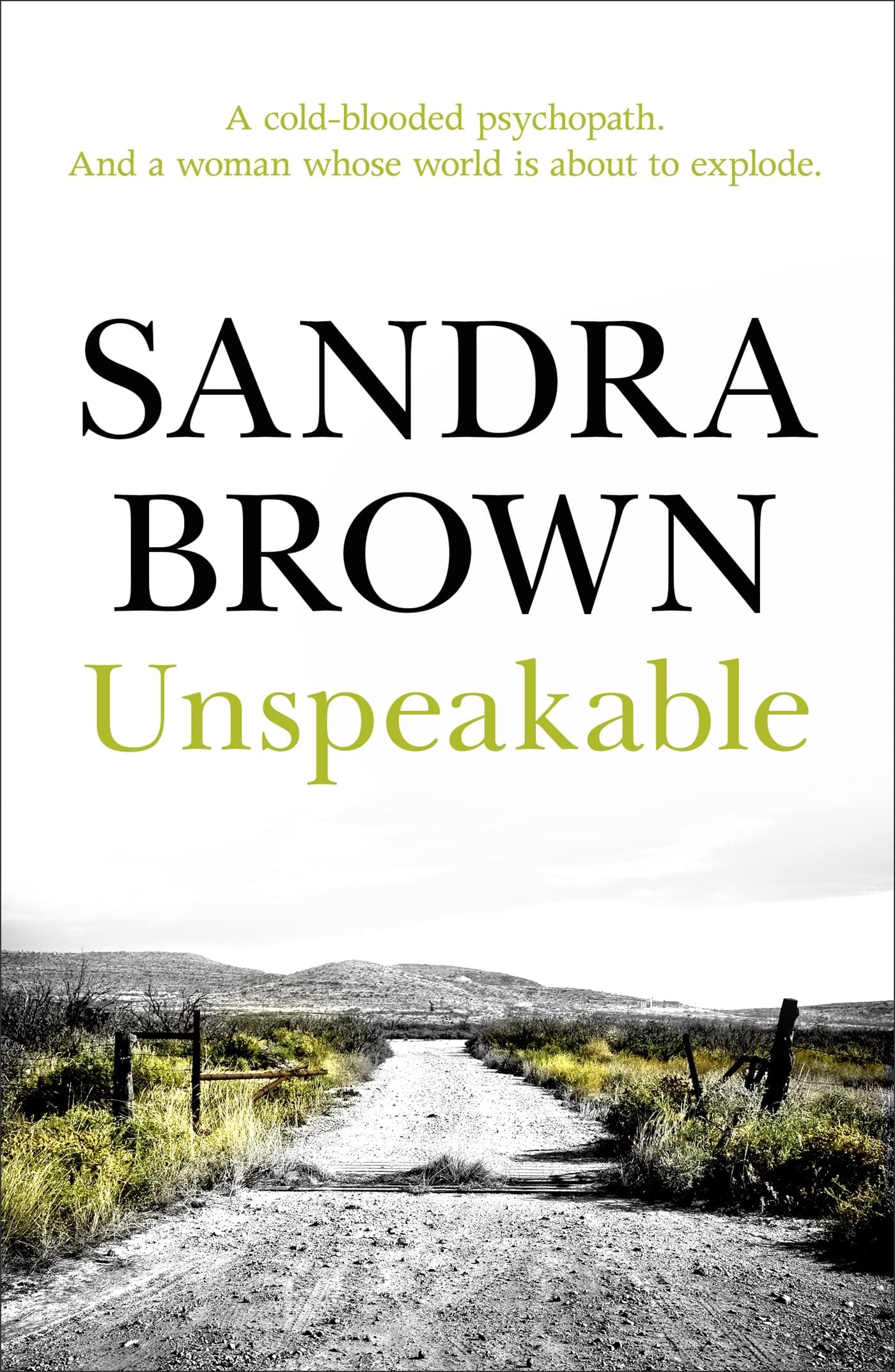 Hodder Paperback Unspeakable: The gripping thriller from #1 New York Times bestseller