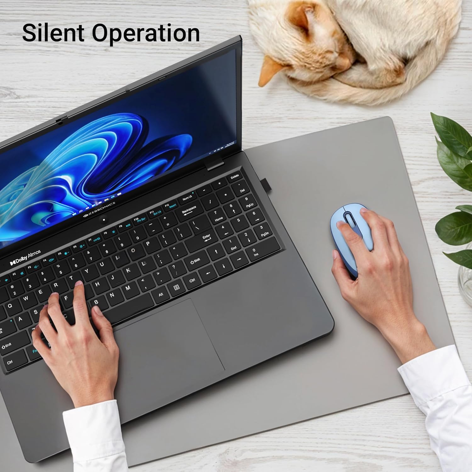 A hand using the ZEBRONICS Groot mouse next to a laptop, with 'Silent Operation' text and a sleeping cat in the background.