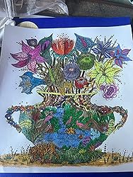 Amazon.com: Enchanted Earth Coloring: A Coloring Journey (Melpomeni ...