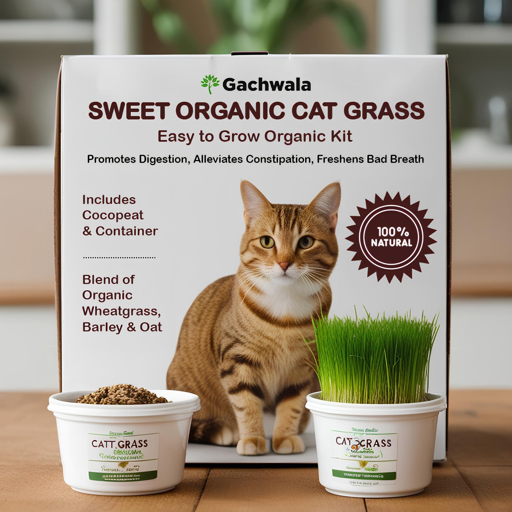 Sweet Organic Cat Grass Kit with 4 Cocopeat Coins,2 Mixed Seed Containers & 1 Growing Container- Organic Wheatgrass,Barley & Oat Blend,Supports Digestion & Hairball Reduction,All Life Stages