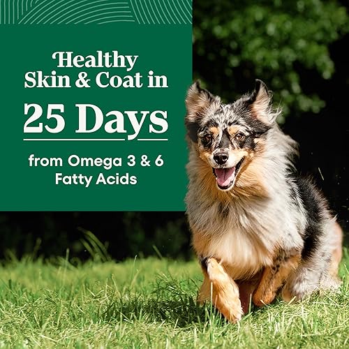 Miniatura 2 de NUTRO NATURAL CHOICE Alimento seco natural para perros adultos pollo