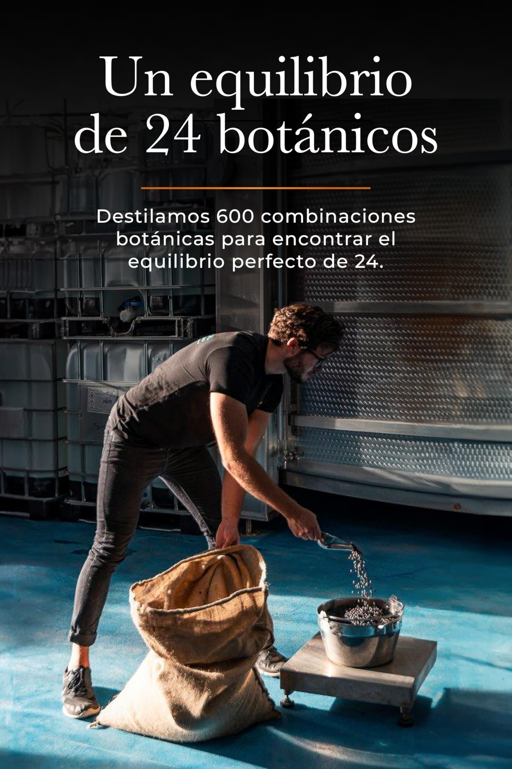 Silent Pool Gin – Ginebra Premium Artesanal Original con 24 Botánicos – 43% Vol. – Botella de 70 cl