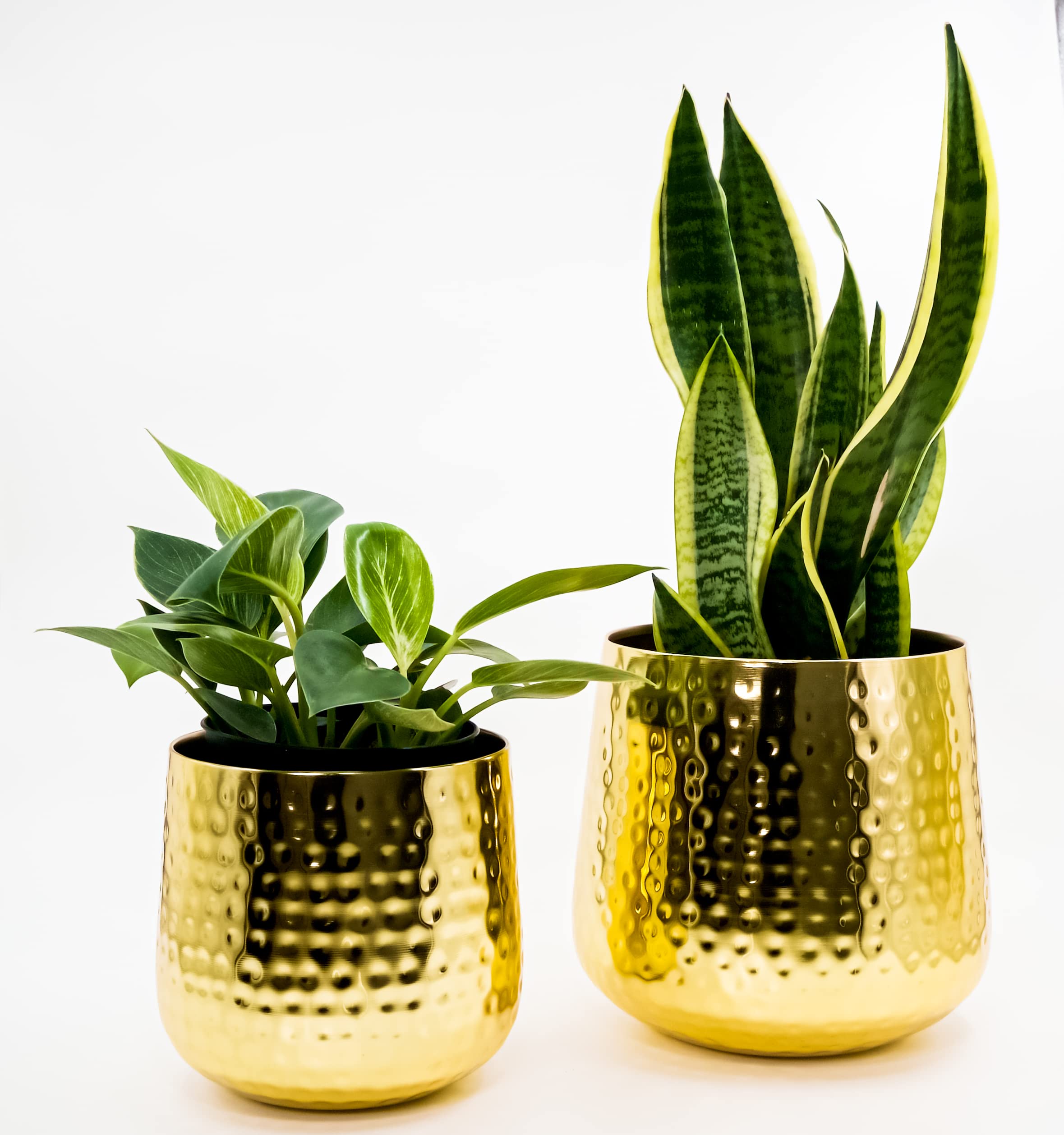 ARPHIBO Hammered Metal Planter Flower Pot (Iron) Brass Color Set of 2 Sizes | Ideal Home Decor Best for Indoor Plants for Home & Office (B09QG1H8MX) Amazon Price History, Amazon Price Tracker