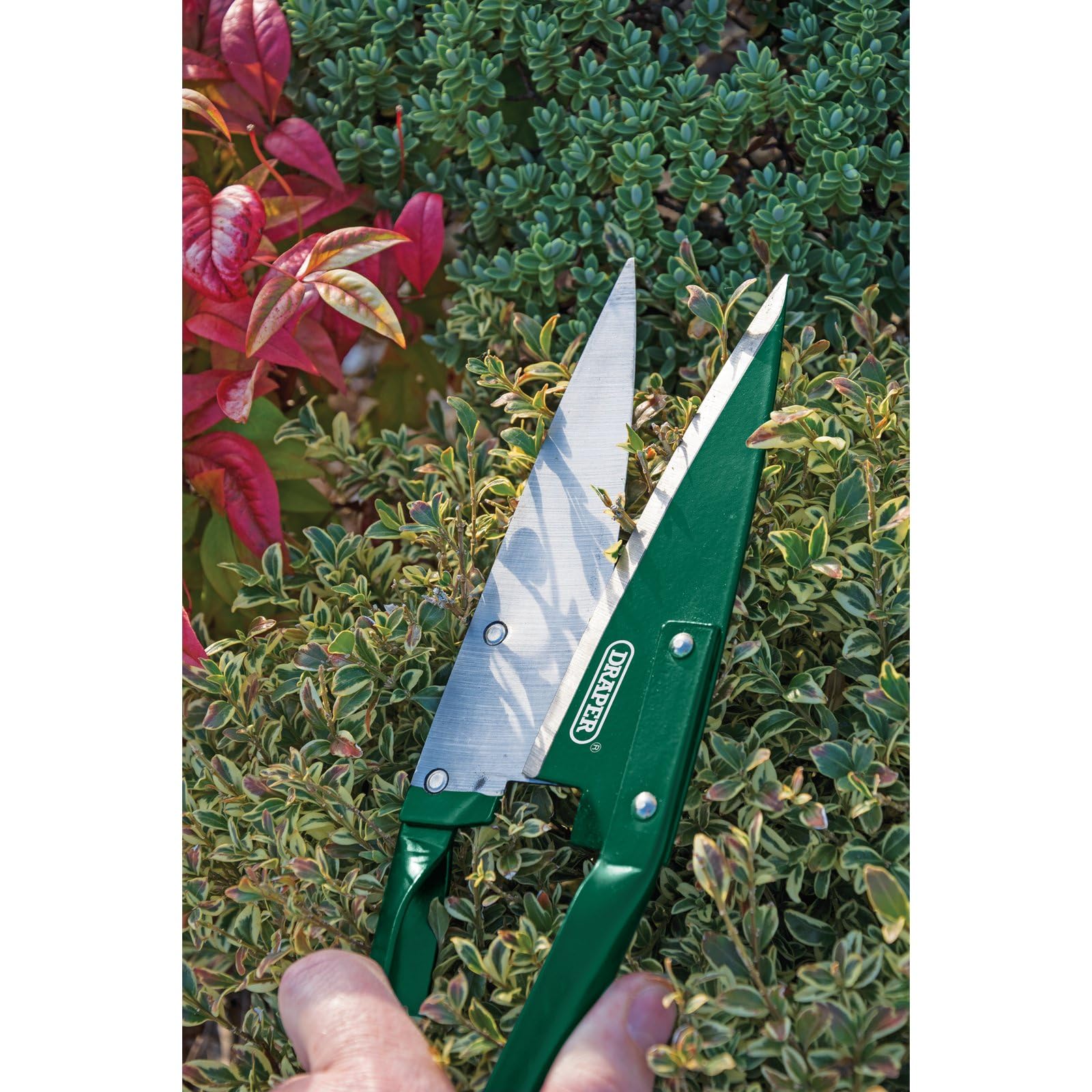 Draper Cisailles à buis 84050 330 mm, Silver