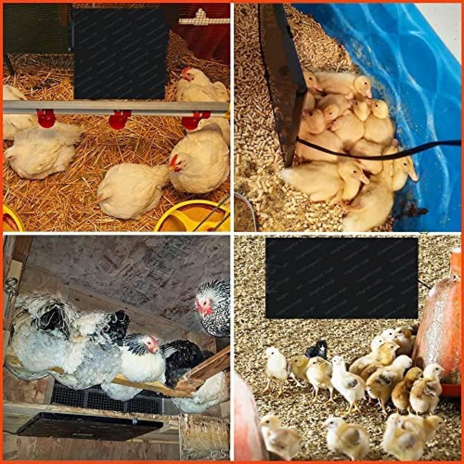 Estera De Calentadores De Gallinero, Calentador De Panel Plano De Calor Radiante De Potencia Ajustable, Almohadilla Térmica De Cama para Mascotas para Pollitos, Gatitos, Cachorros, Peces, An