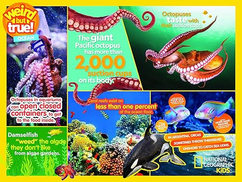 Miniatura 5 de Buffalo Games - NAT Geo - Ocean - Rompecabezas de 400 piezas para familias desafiante rompecabezas perfecto para noches de juego - El tamaño del