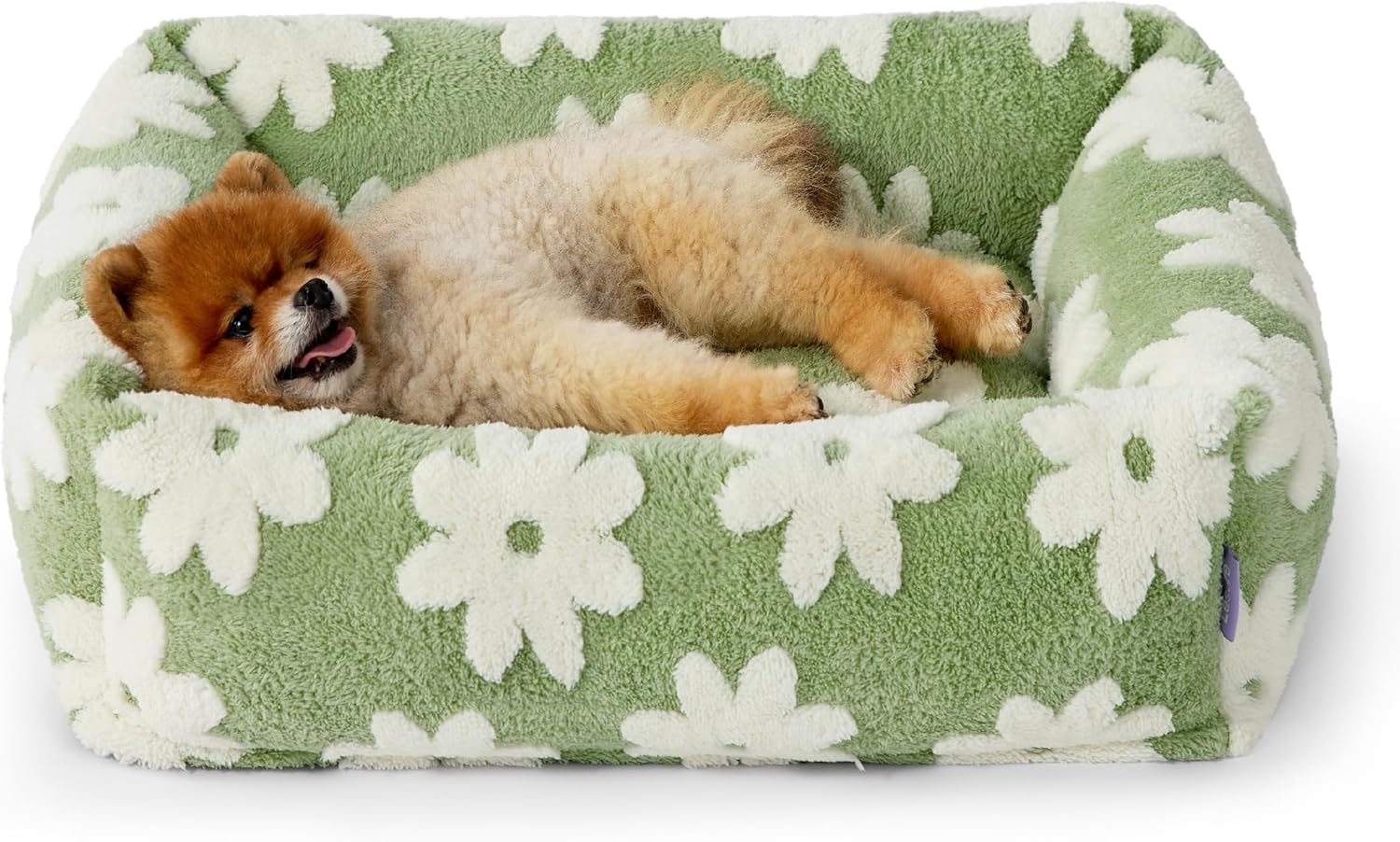 Lesure Cute Dog Bed for Small Dogs – Washable Puppy Beds,Cozy Rectangle Orthopedic Pet Sofa with Jacquard Shaggy Plush & Anti Slip Bottom,25x21x7inches Lesure Cute Dog Bed for Small Dogs – Washable Puppy Beds,Cozy Rectangle Orthopedic Pet Sofa with Jacquard Shaggy Plush & Anti Slip Bottom,25x21x7inches