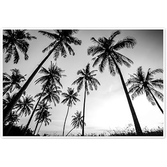 Silhouettes of Palm Trees Poster 120 x 80 cm Black and White Photography Wall Decoration
