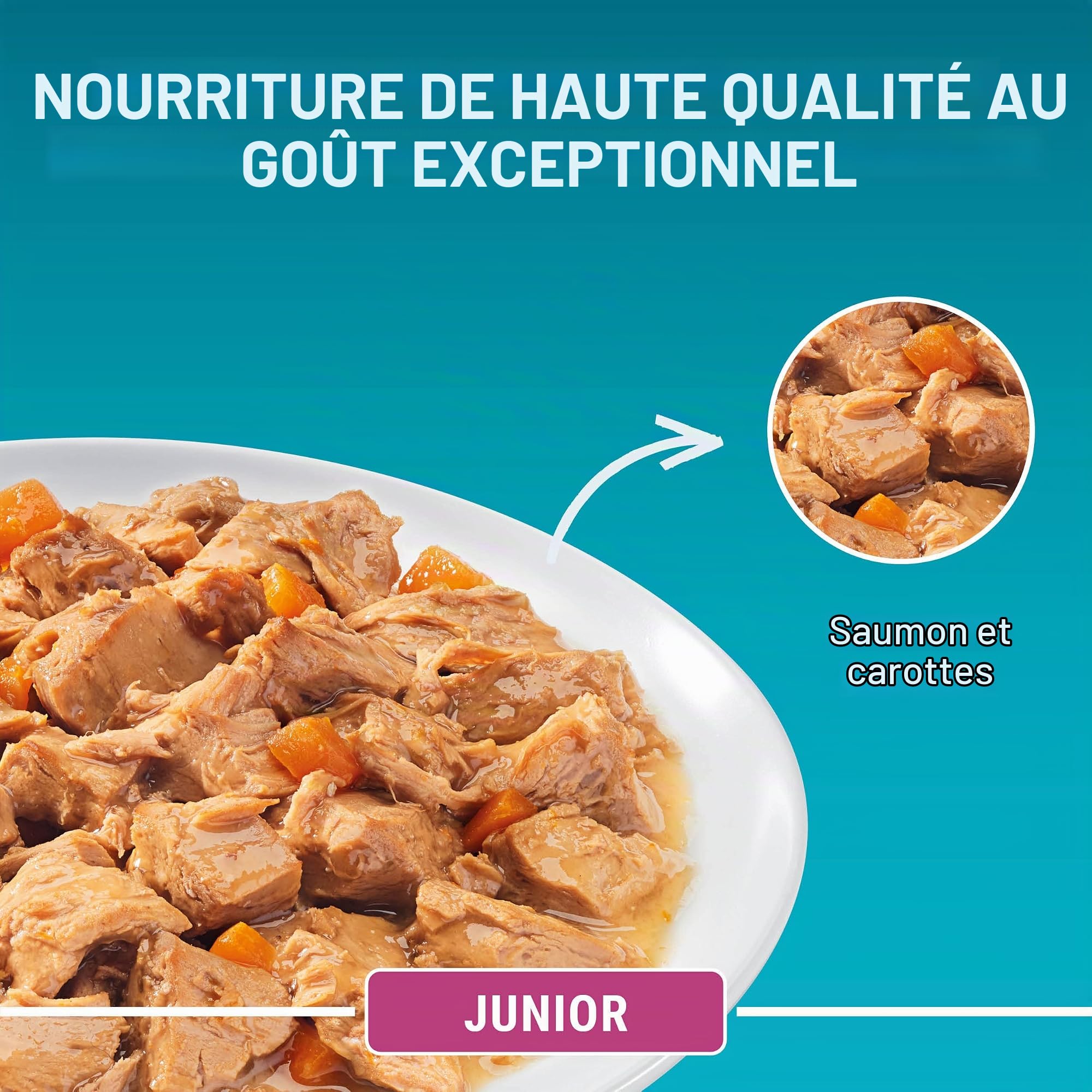 PURINA One Junior Lot de 12 boîtes de Nourriture pour Chatons humides et délicates en Sauce avec Saumon et Carottes (12 x 4 x 85 g)