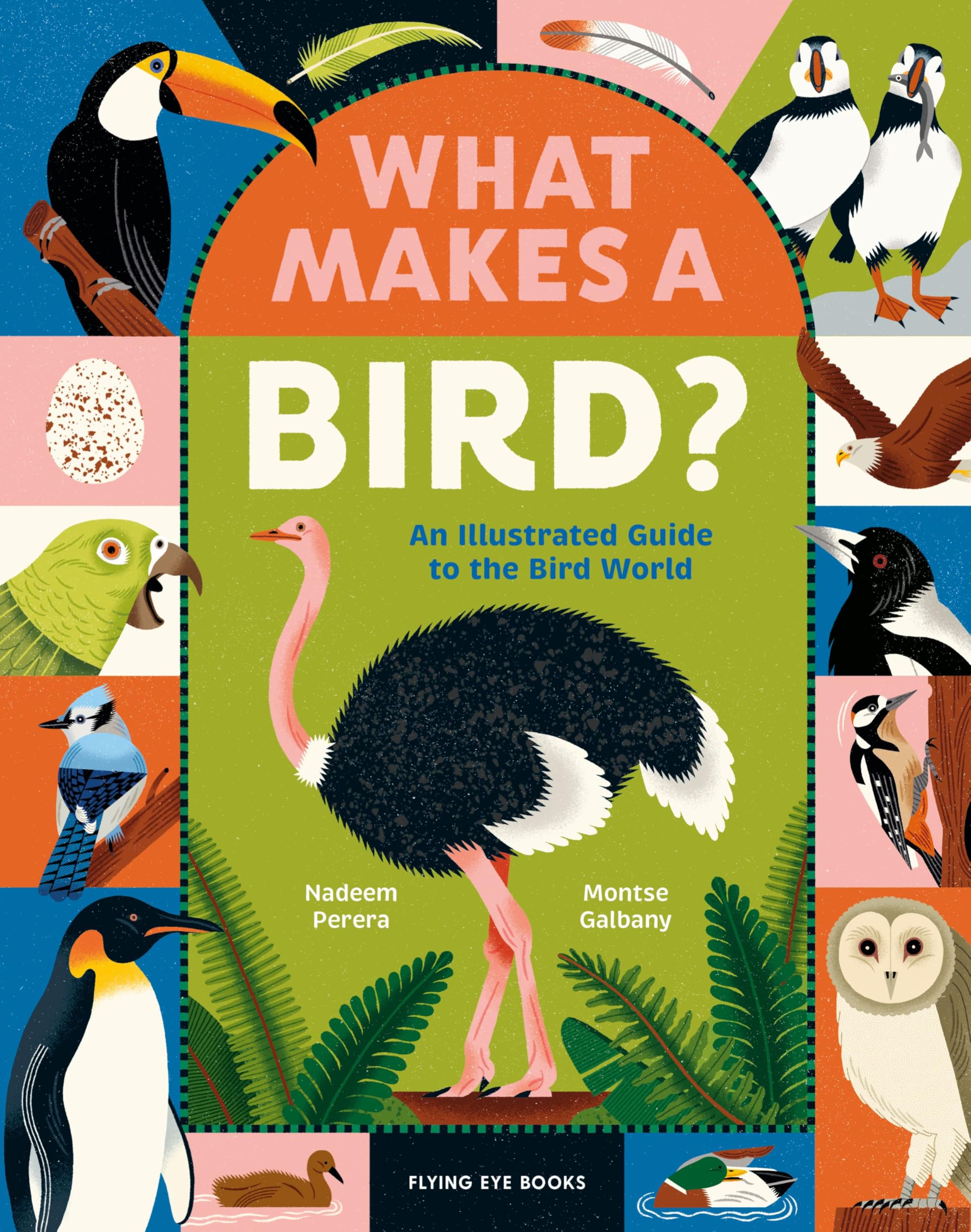 What Makes a Bird by Nadeem Perera HARDBACK 9781838742065