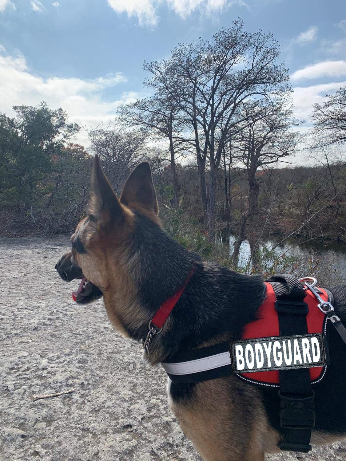 Body Guard Service Dog Vest Harness with Removable Patches. Purchase Comes with 2 Body Guard Reflective Removable Patches. Please Measure Your Dog Before Ordering.