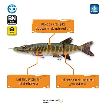 サベージギア ジャパン ラインスルー トラウト 25cm カープ 10インチ サベージギア ジャパン ラインスルー トラウト 25cm カープ 10