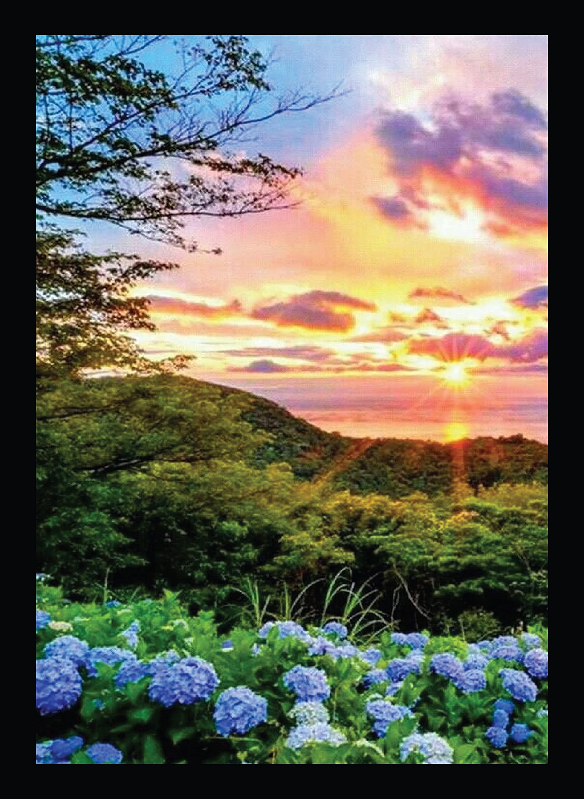 BIRD'S MIND Synthetic Wood Wall Hanging Nature Scenery Sunset