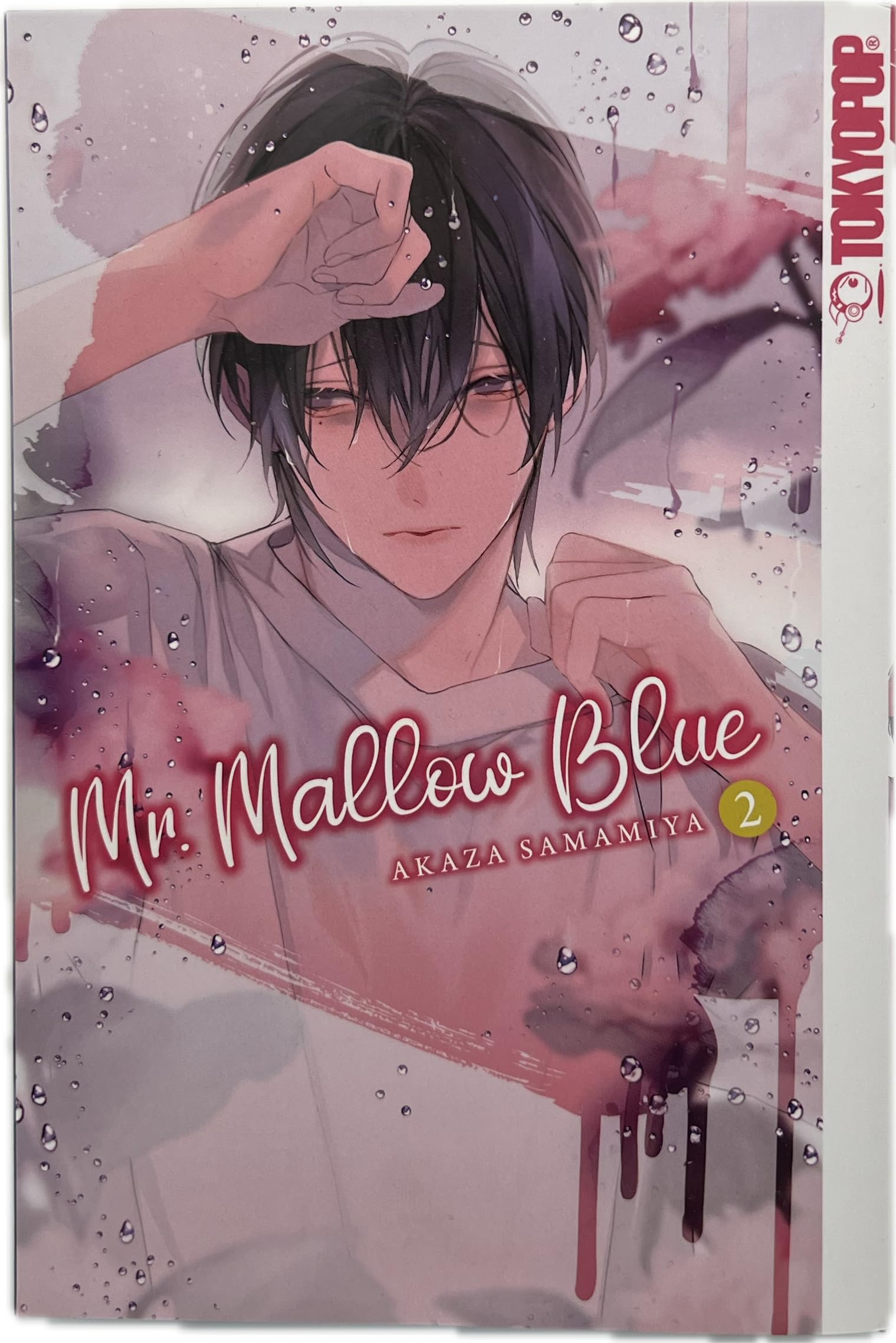 Mr. Mallow Blue 02