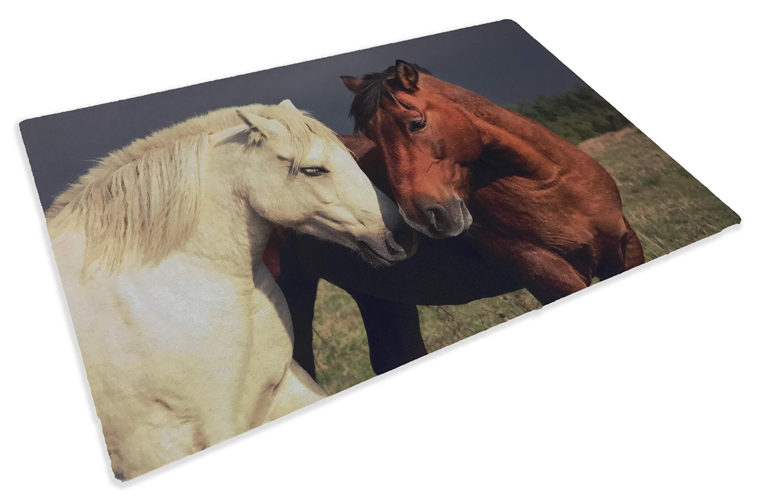 Tex Family Alfombra Felpudo Digital Friends cm 40 x 60 Caballos