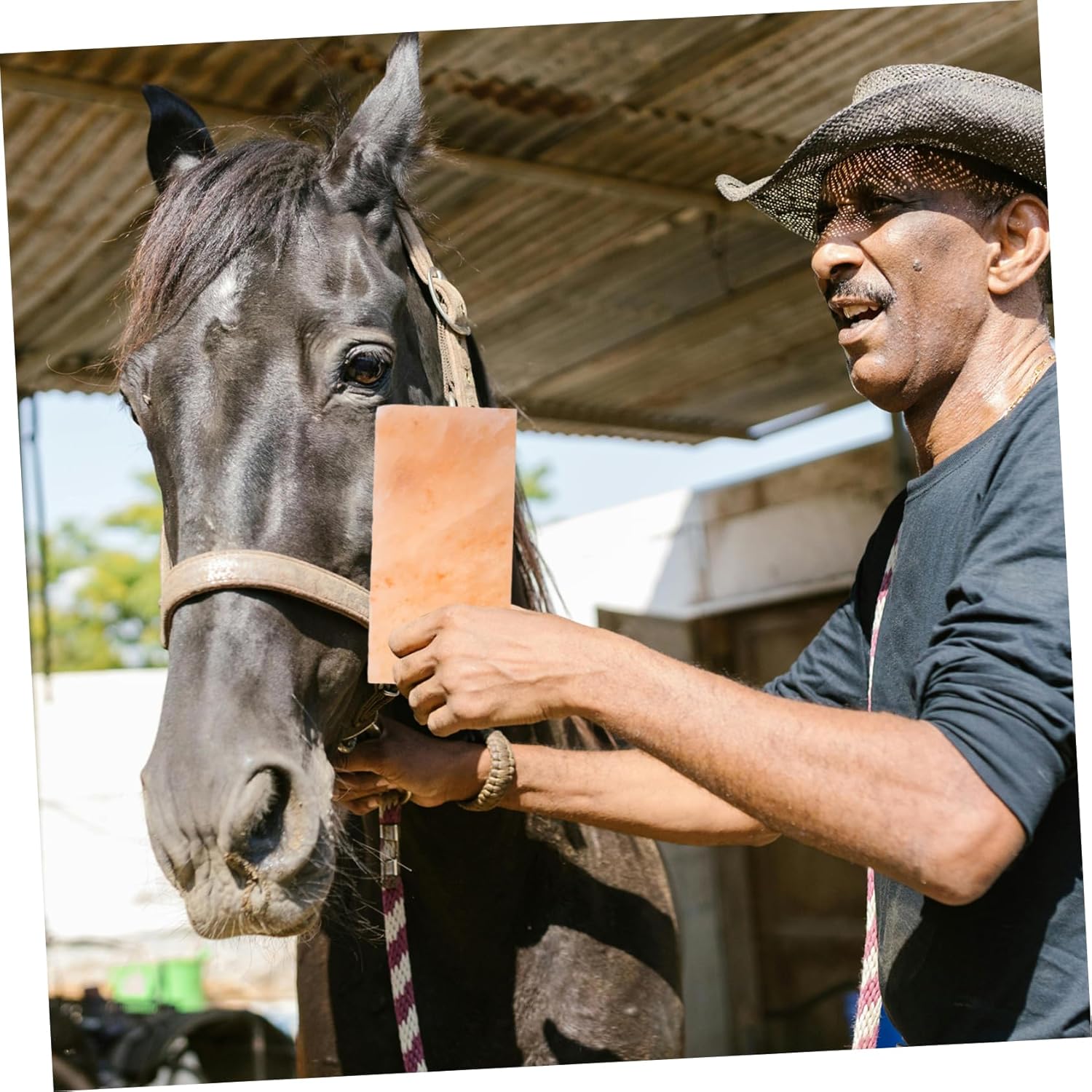 Salt Block for Livestock Mineral-Rich Licking Block Cows and Sheep Durable Design for Balanced Nutrition and Long-Lasting Use