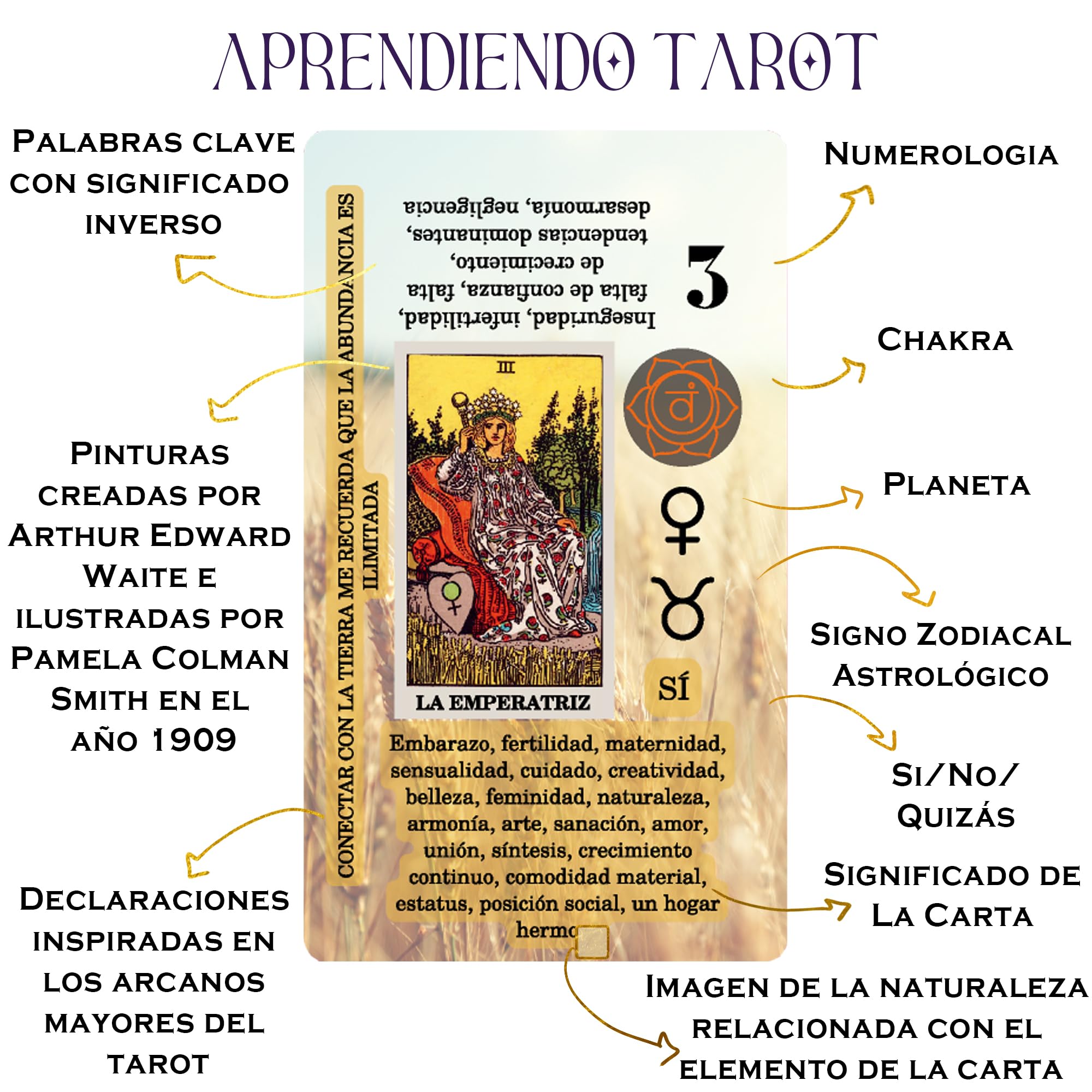 Witchy Cauldron Cartas de Tarot en Español para Principiantes, Baraja Rider Waite de 78 Cartas con Significado, Palabras Clave, Chakra, Planeta, Afirmación, Invertido, Zodíaco