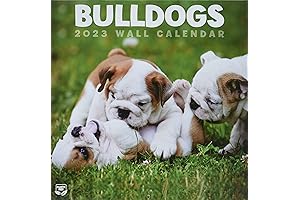 2022 TURNER PHOTOGRAPHIC Bulldog Calendar (23998940009) Wall Calendar