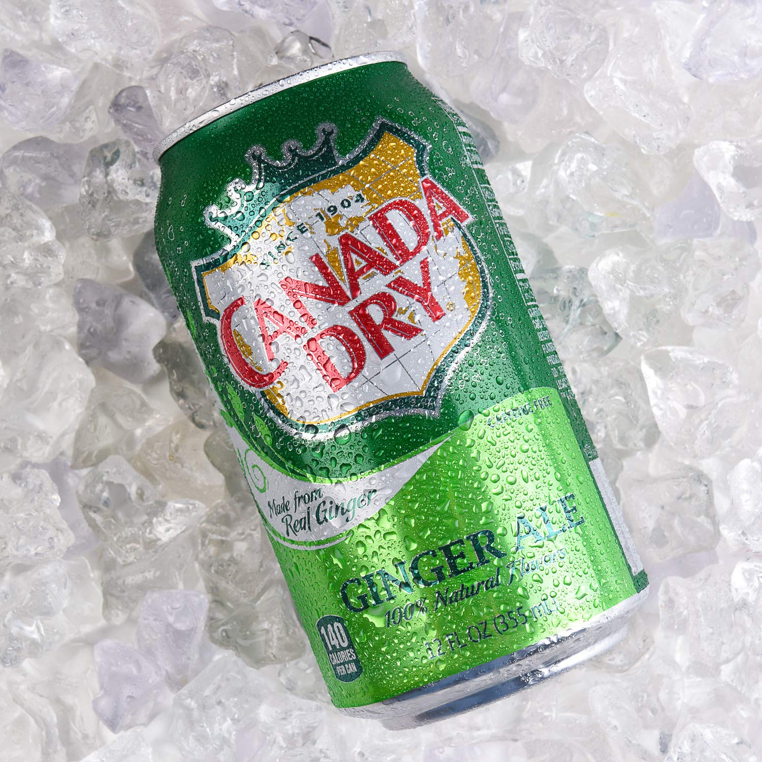 CANADA DRY Ginger Ale 355ml 12er Pack