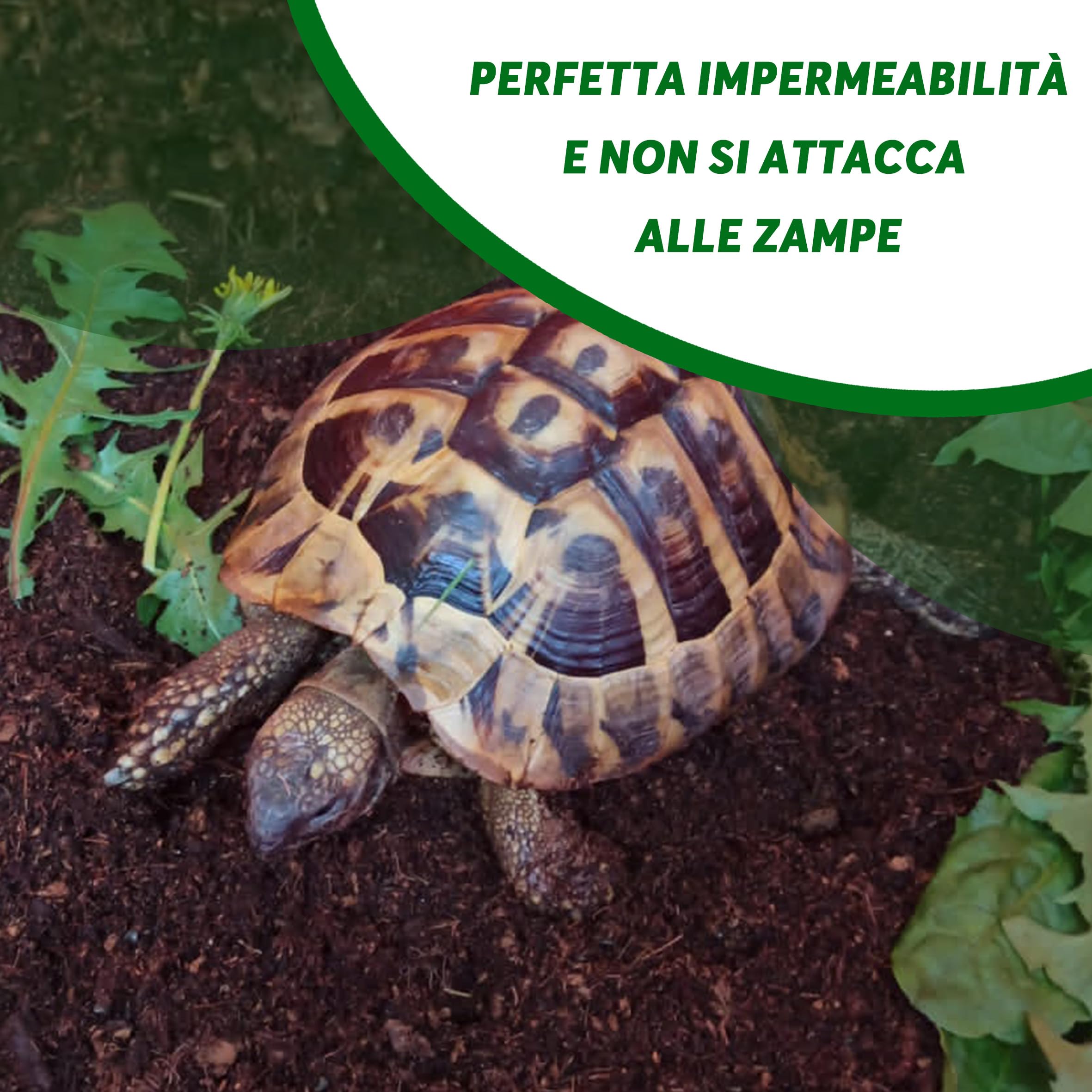 ZOMA Terrario per Tartarughe di Terra - Ambiente Ideale per la Tua Tartaruga - 20L