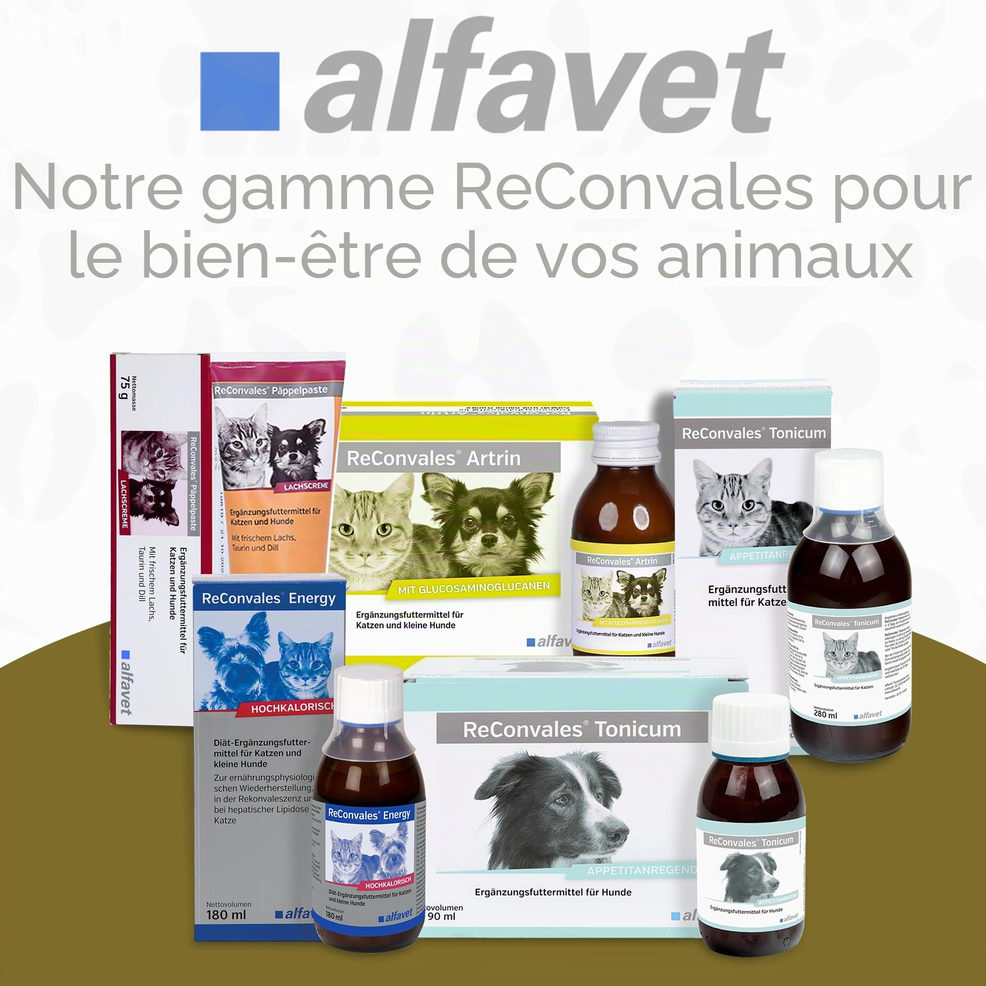 alfavet, ReConvales Gastro Balance pour chat et chien - Soin de la muqueuse gastrique avec régulateur d'acidité - Complément alimentaire - 3 x 90 ml