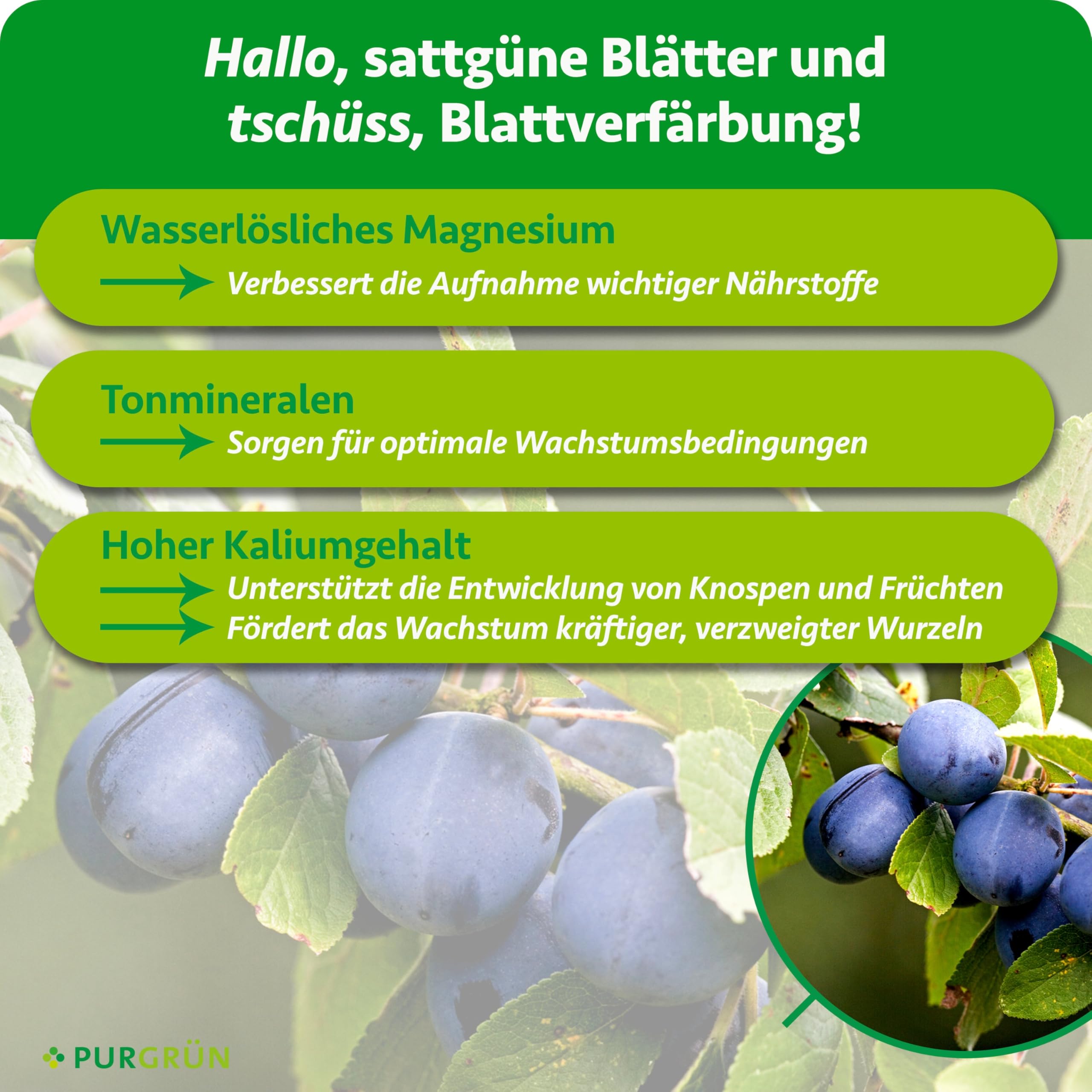 Bio-Pflaumenbaum-Dünger 1 kg – Organisch-mineralische Rezeptur – Feinkörniges Krümelgranulat – NPK 6+3+8 – Mit Magnesium für saftige, aromatische Pflaumen – Verbessert die Bodenqualität
