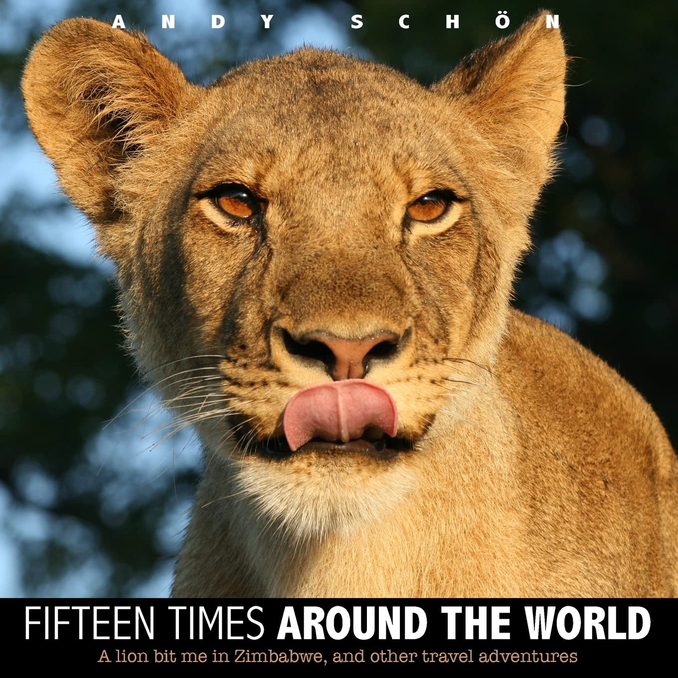 Fifteen Times around the World: A lion bit me in Zimbabwe, and other travel adventures