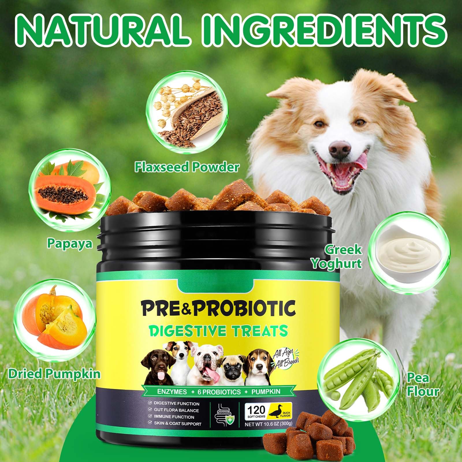 Probiotici per Cani 120P – Integratore Naturale Avanzato per la Salute Intestinale dei Canis – Migliora la Digestione, Rafforza il Sistema Immunitario– Probiotici per Cani di Tutte le Taglie e Età