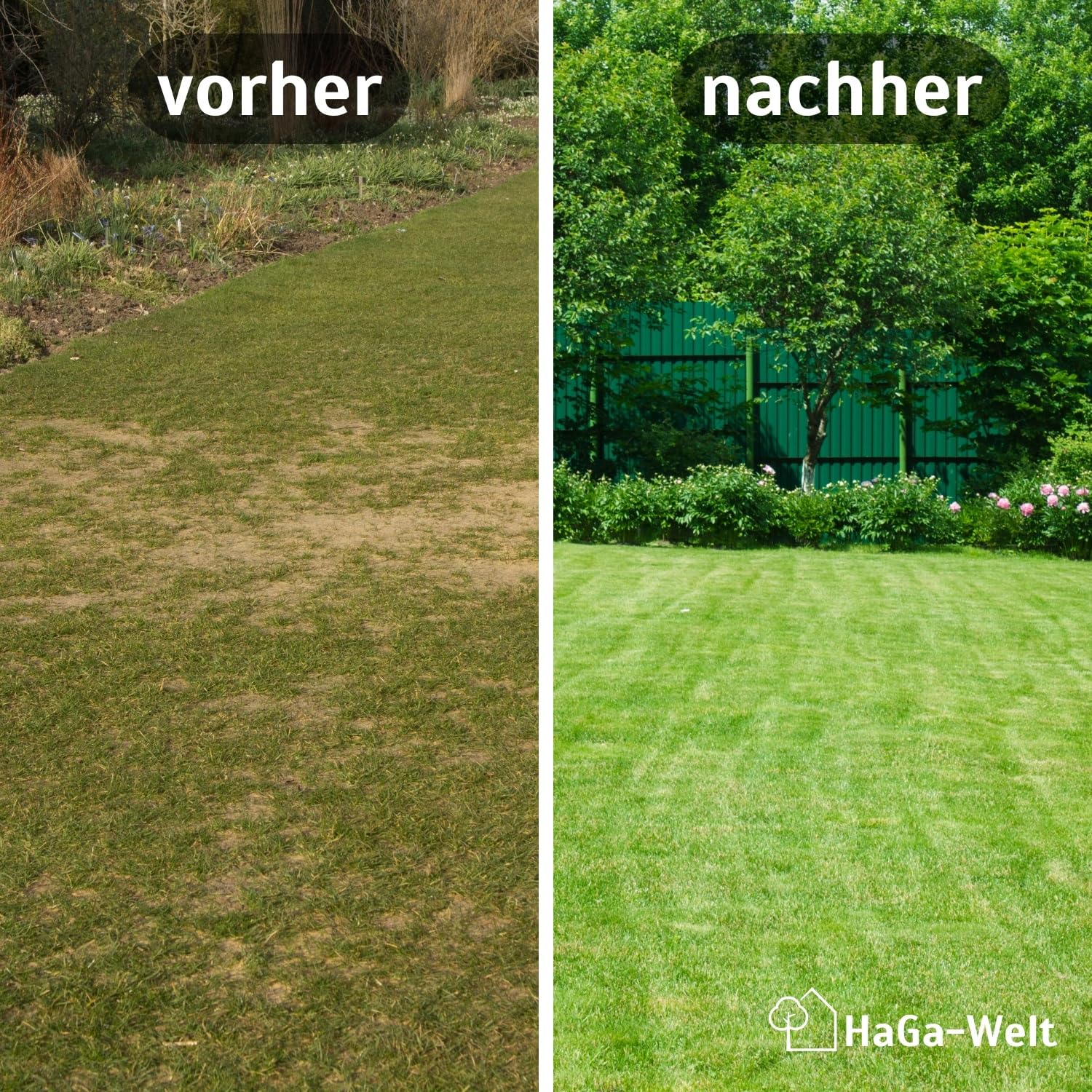 HaGa Rasenmatte 1m x 25m – biologisch abbaubarem Baumwollvlies – schnelles Wachstum mit eingebetteten Rasensamen – ideal für Garten & Hangbefestigung – natürlicher Rasenteppich mit echten Grassamen