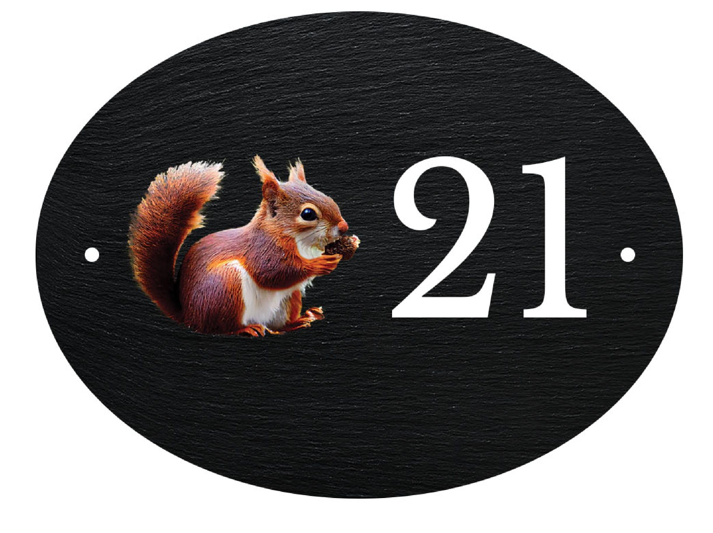 Personalised Oval Slate House Sign Door Plate Robin Kingfisher Owl Blue Bird (UV PRINTED) (Squirrel)