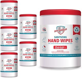 Sanitizing Hand Wipes - 80 Count (6-pack) Alcohol-Free, Long-lasting Protection. Kills 99.9% of Germs. Moisturizes With Aloe Vera. Formulated with Zetrisil. FDA Registered