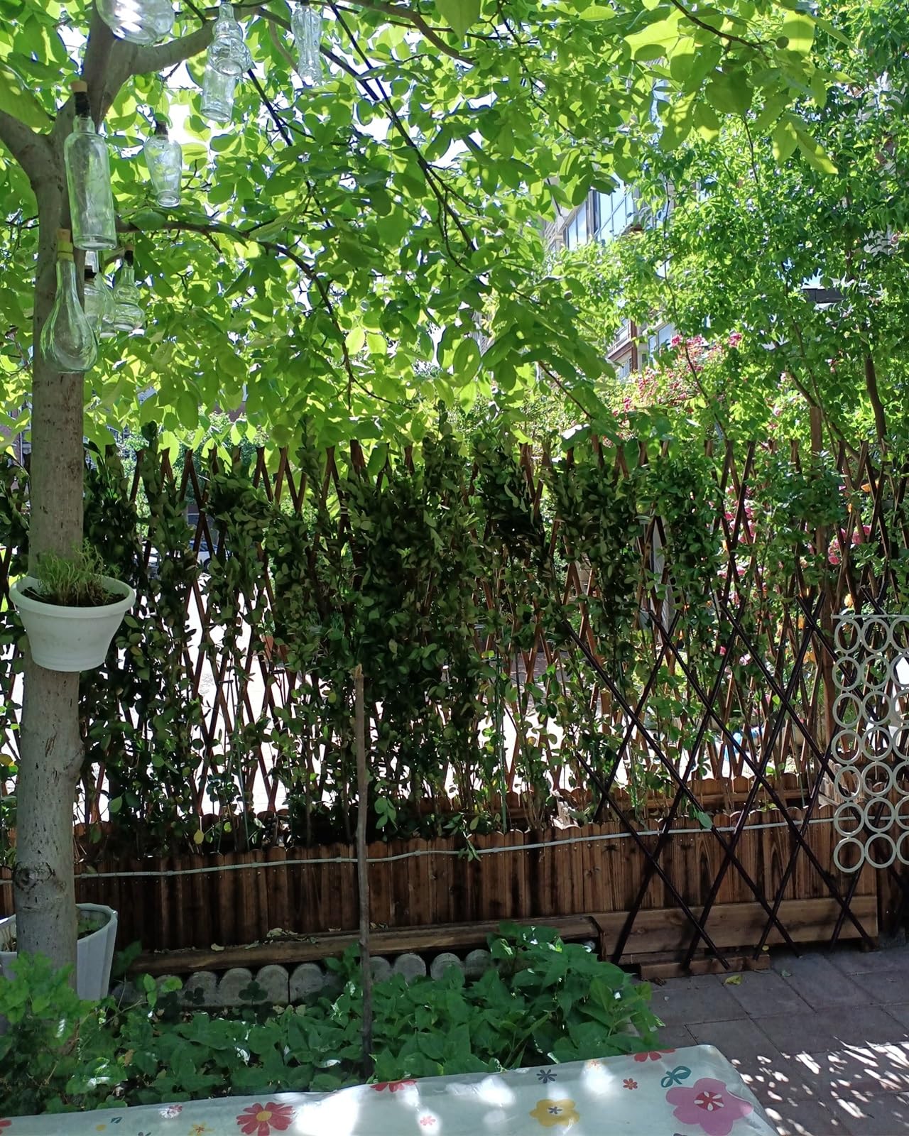 Enrejado De Madera Expandible 44cm X 23cm ~ 300cm X 120cm Valla De Celosía De Jardín Remachados, Estructura De Soporte De Enredaderas De Frutas Y Verduras Para Terraza, Decoración De Paredes(H150)