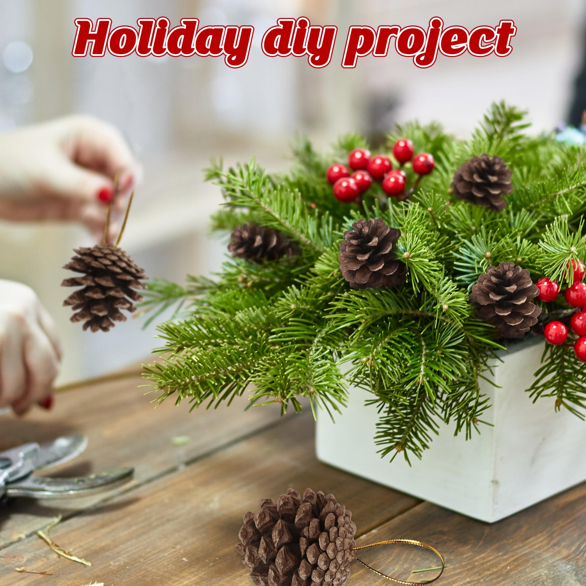 Helimoto Confezione da 50 pigne naturali, 5,5 cm, pigne naturali per artigianato, pigne rustiche con corda dorata, per decorazioni invernali fai da te, albero di Natale, decorazioni da tavola