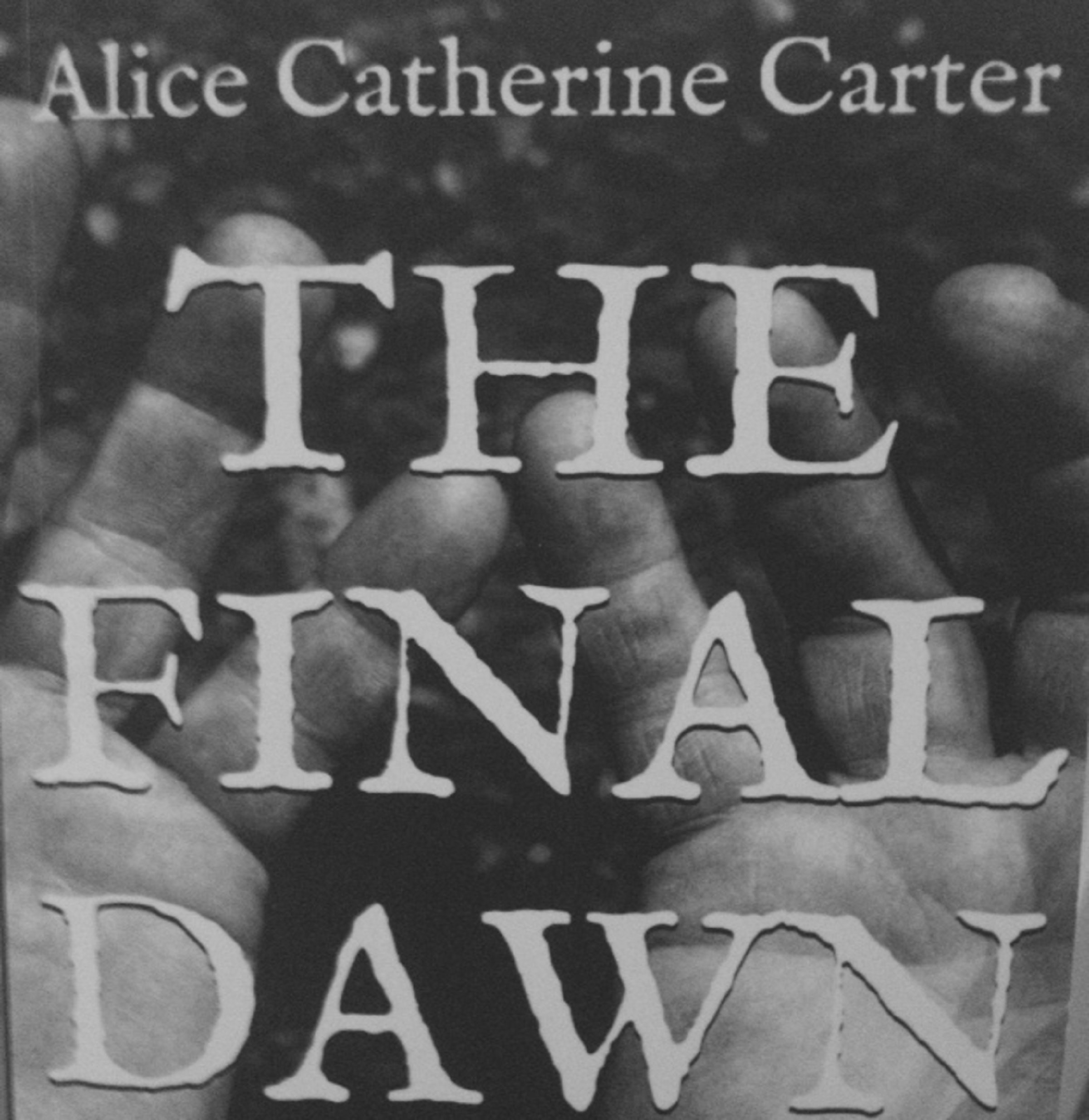 Cover art for The Final Dawn